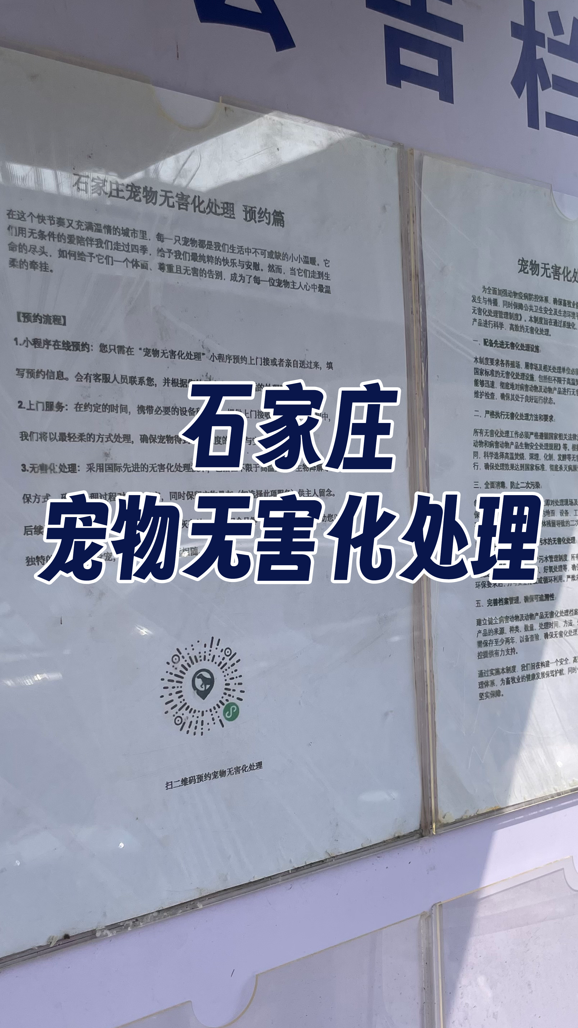 陆丰宠摆渡服务