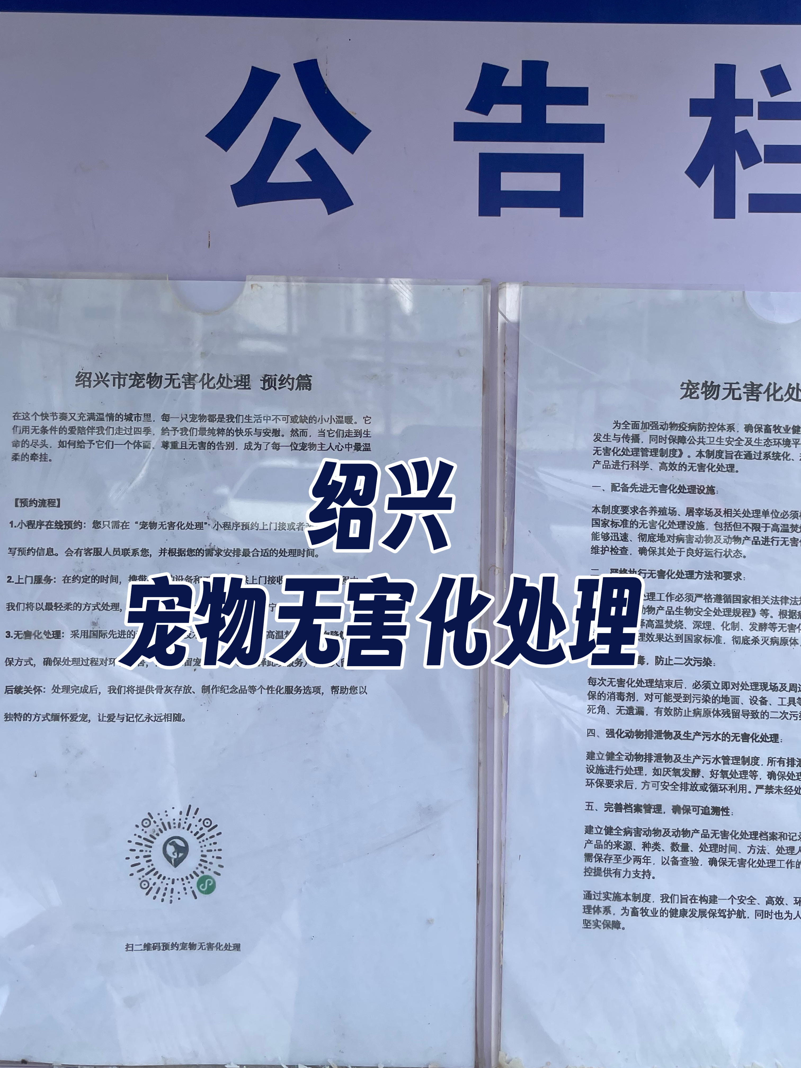 陆丰宠物无害化处理流程