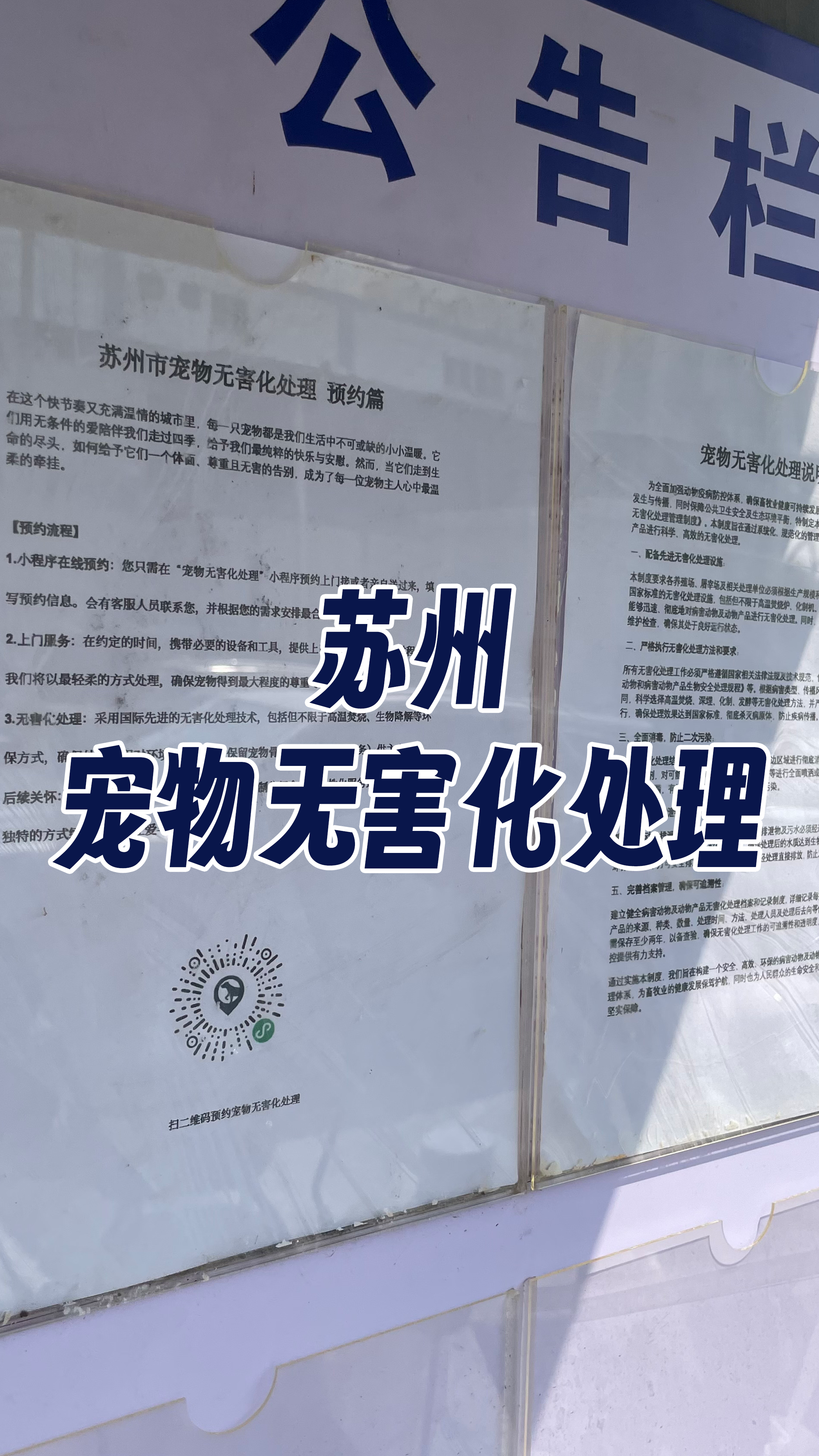 陆丰宠物接运服务
