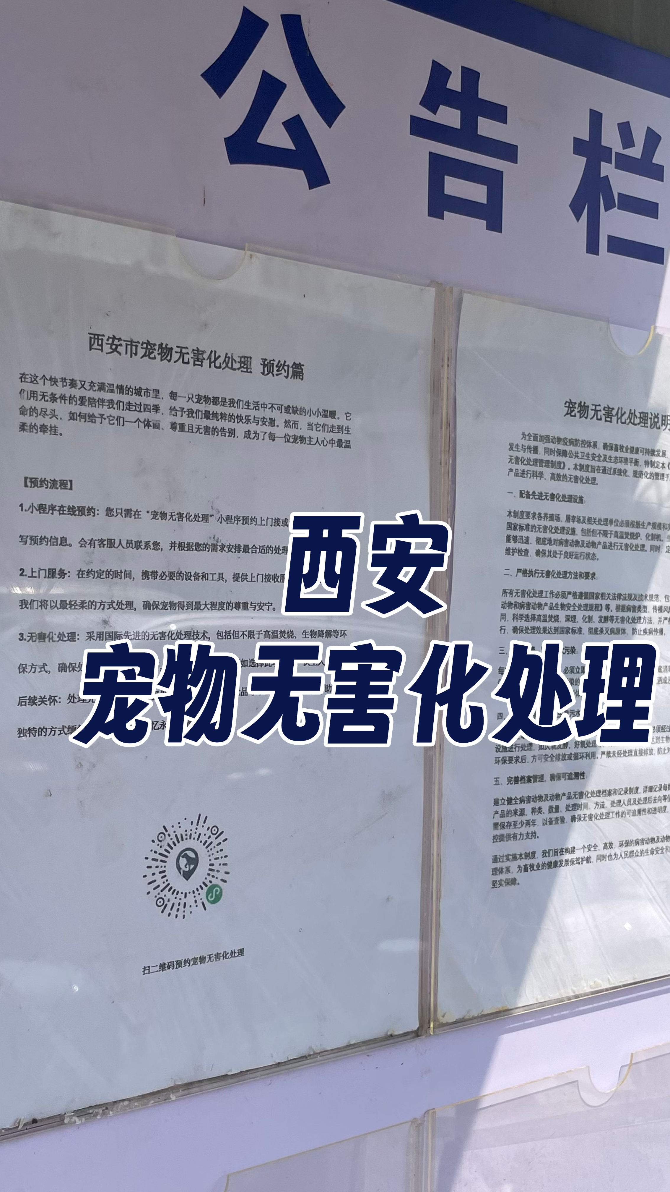 钦州宠物遗体规范处理