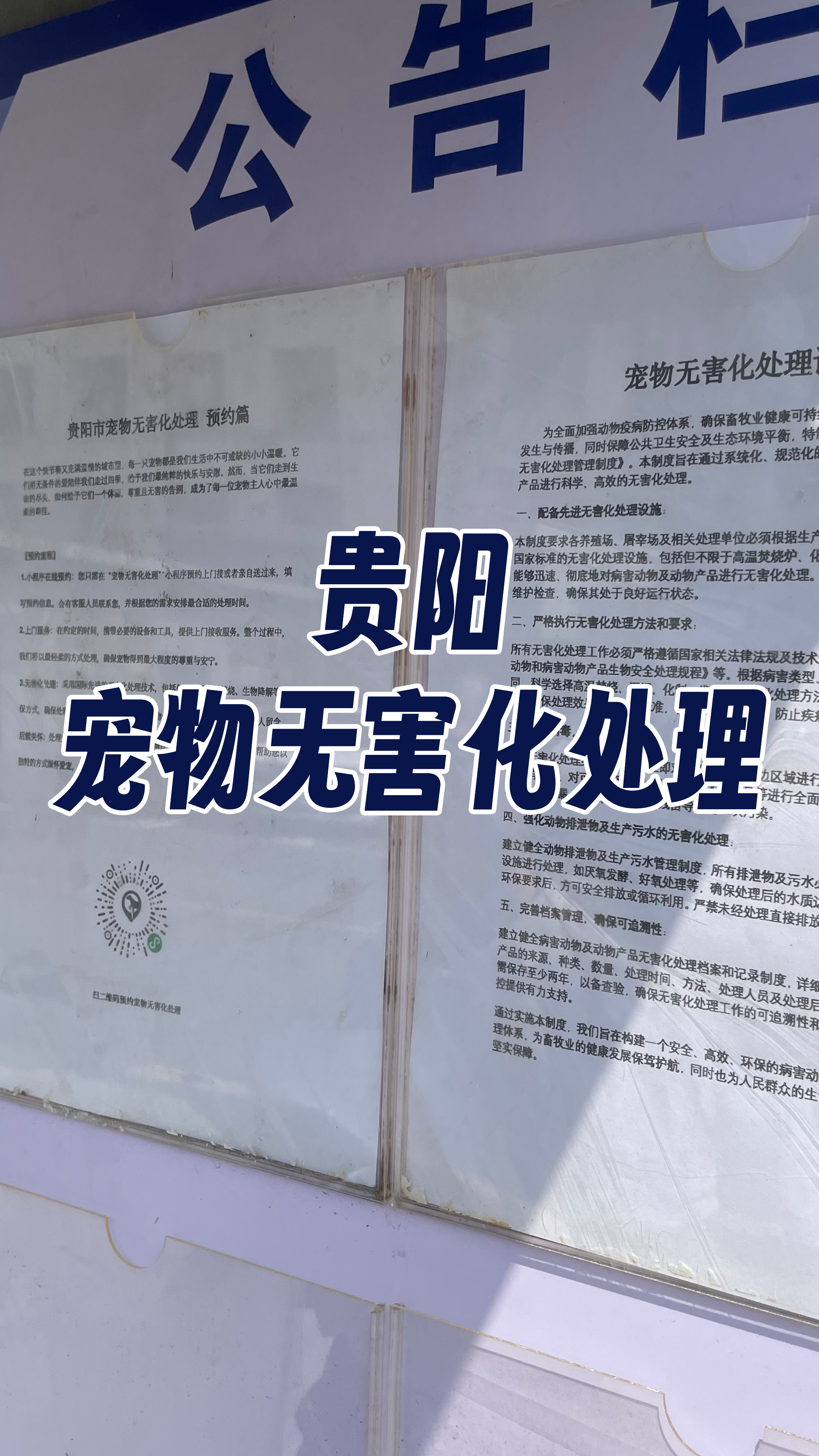 陆丰宠物骨灰安置