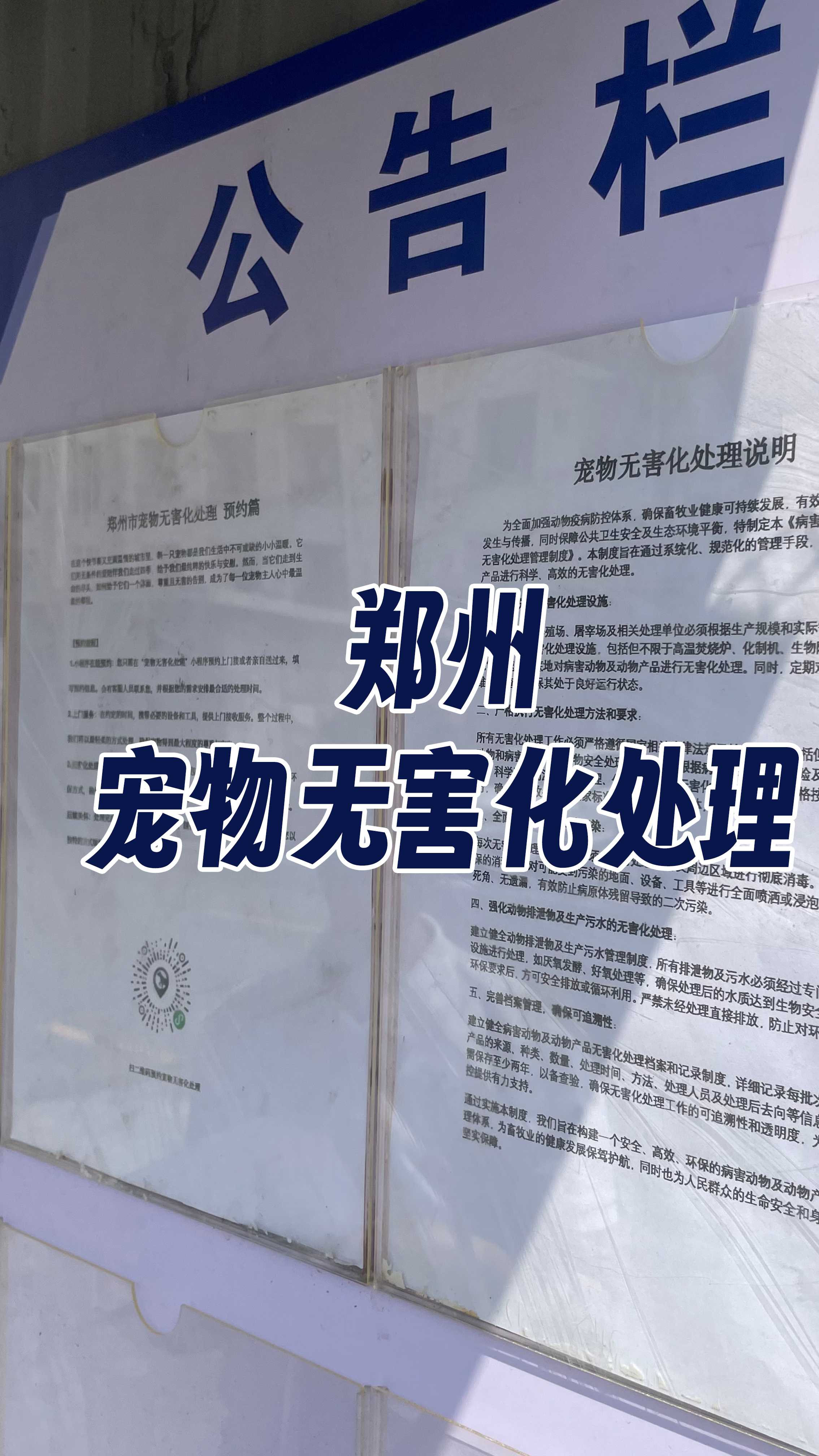 江海区宠物无害化处理