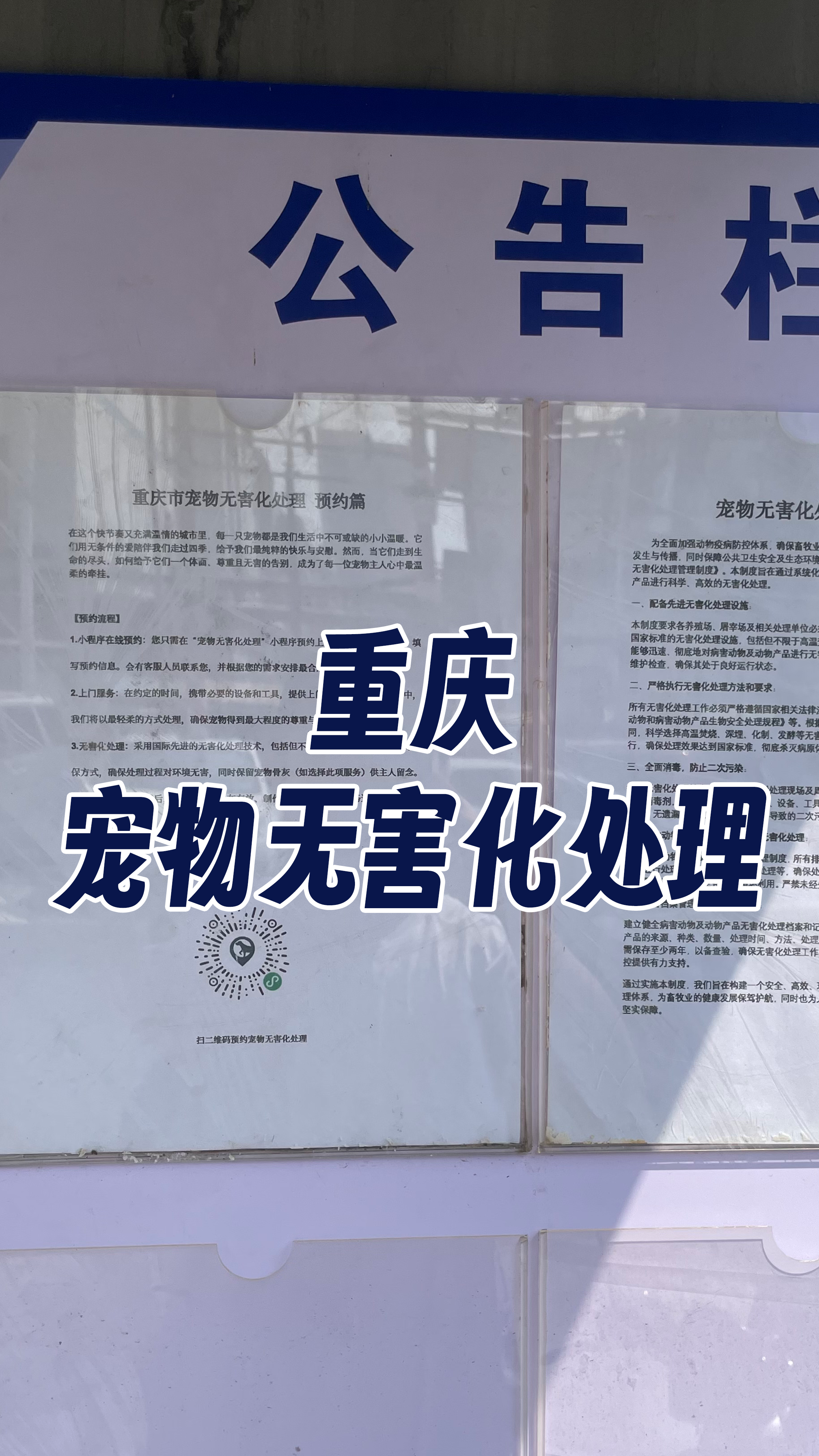 岳阳宠物遗体规范处理