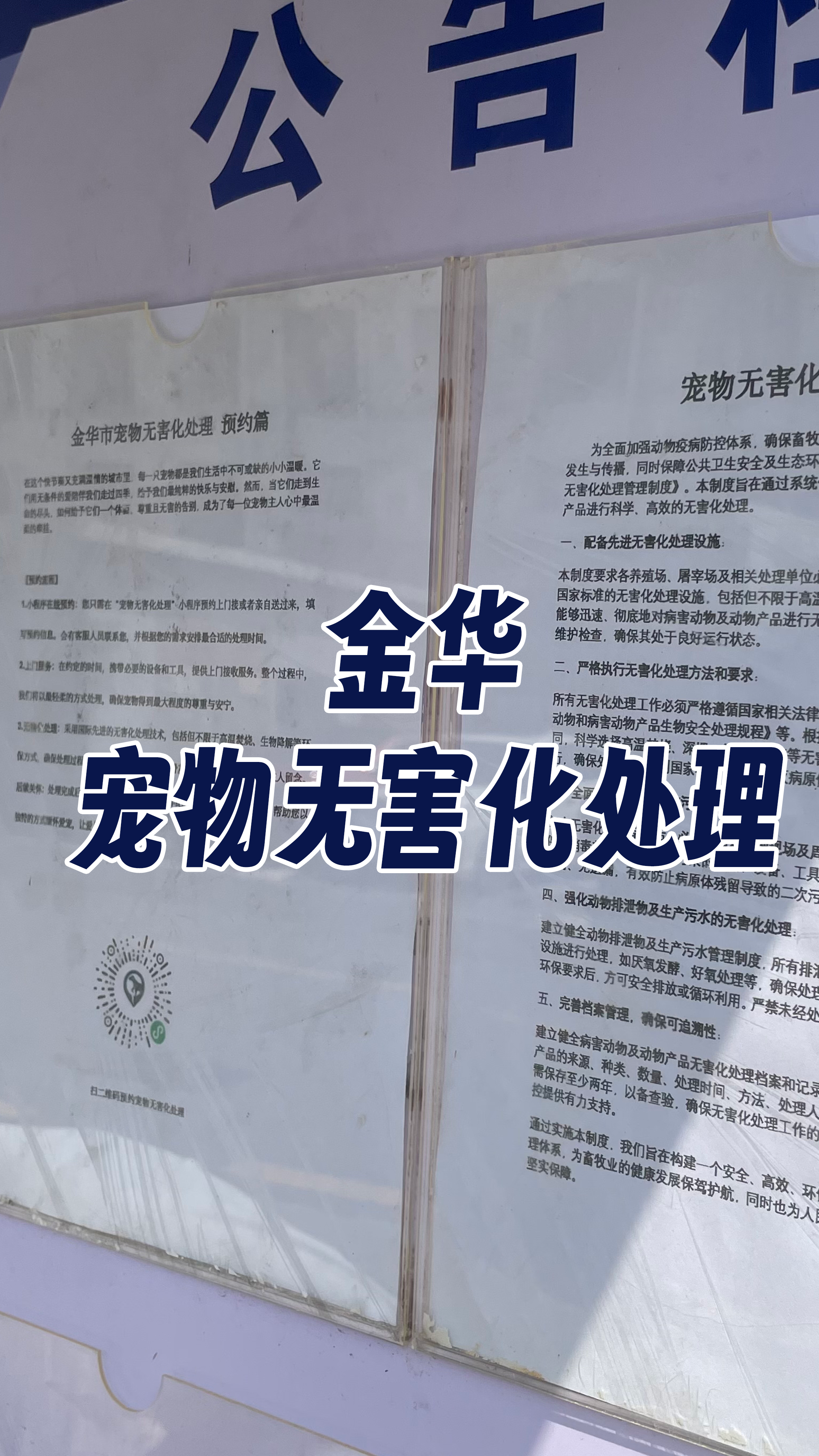 绍兴宠物遗体规范处理