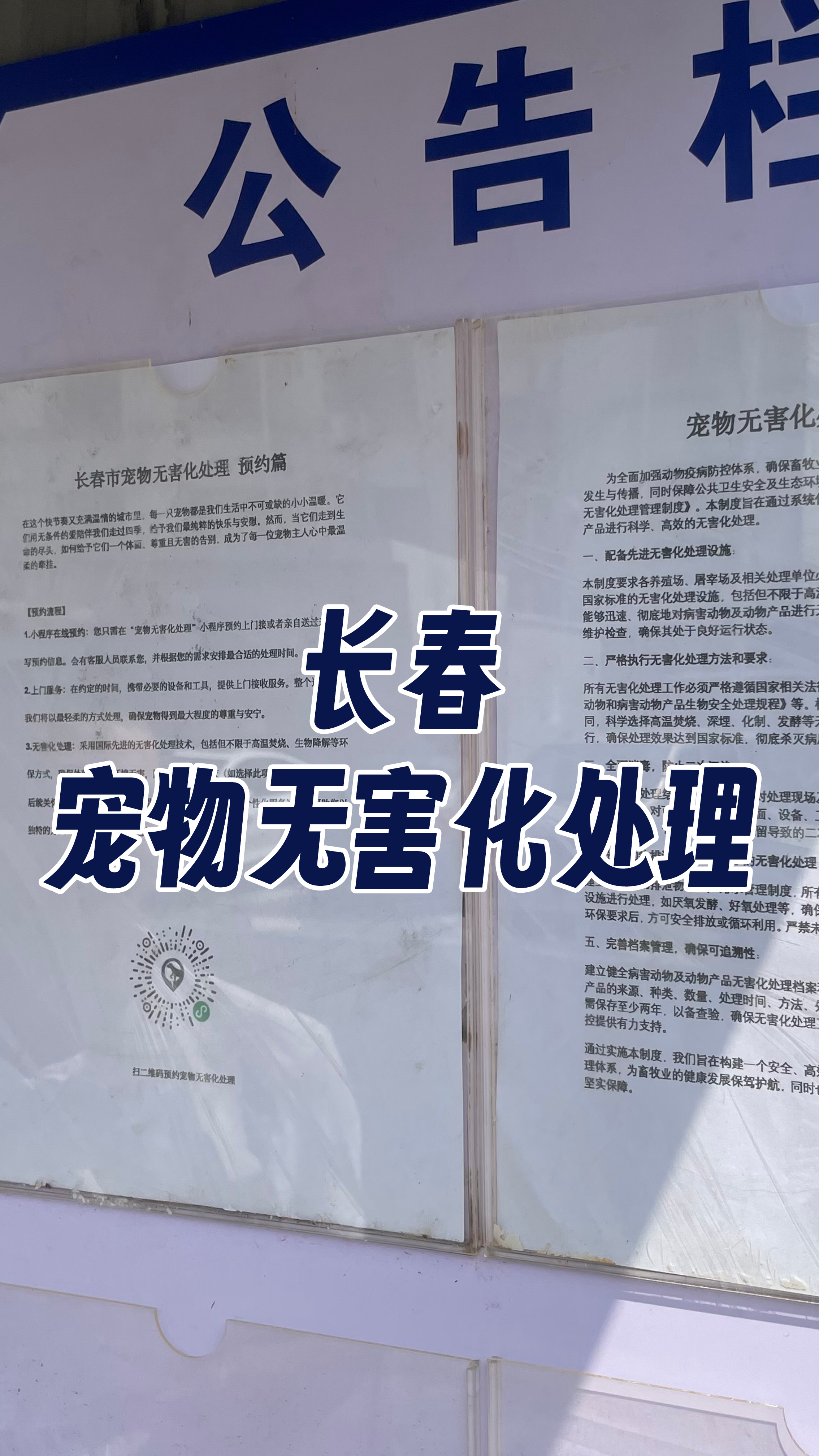 天门宠物无害化处理