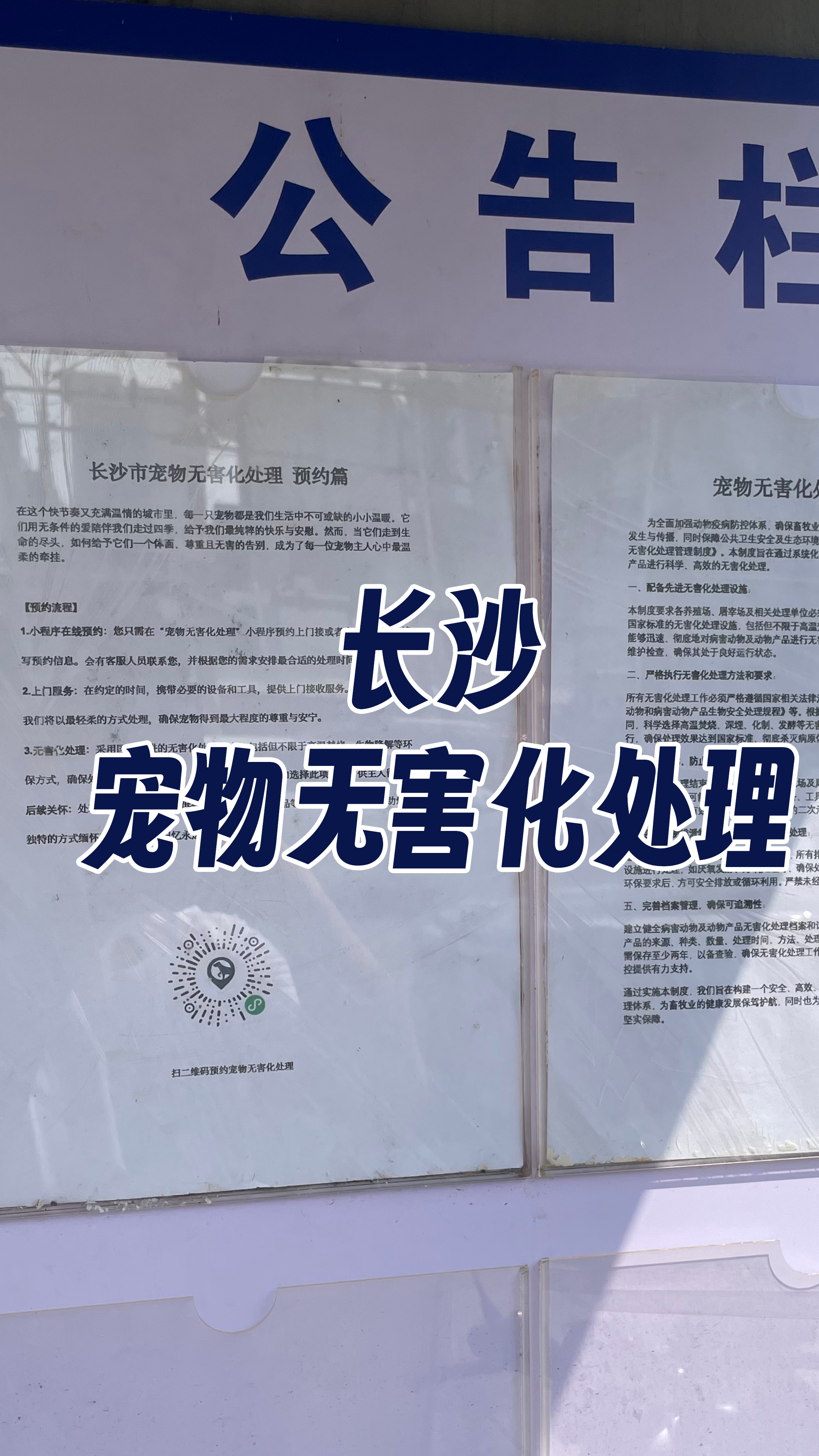 中山宠物遗体规范处理