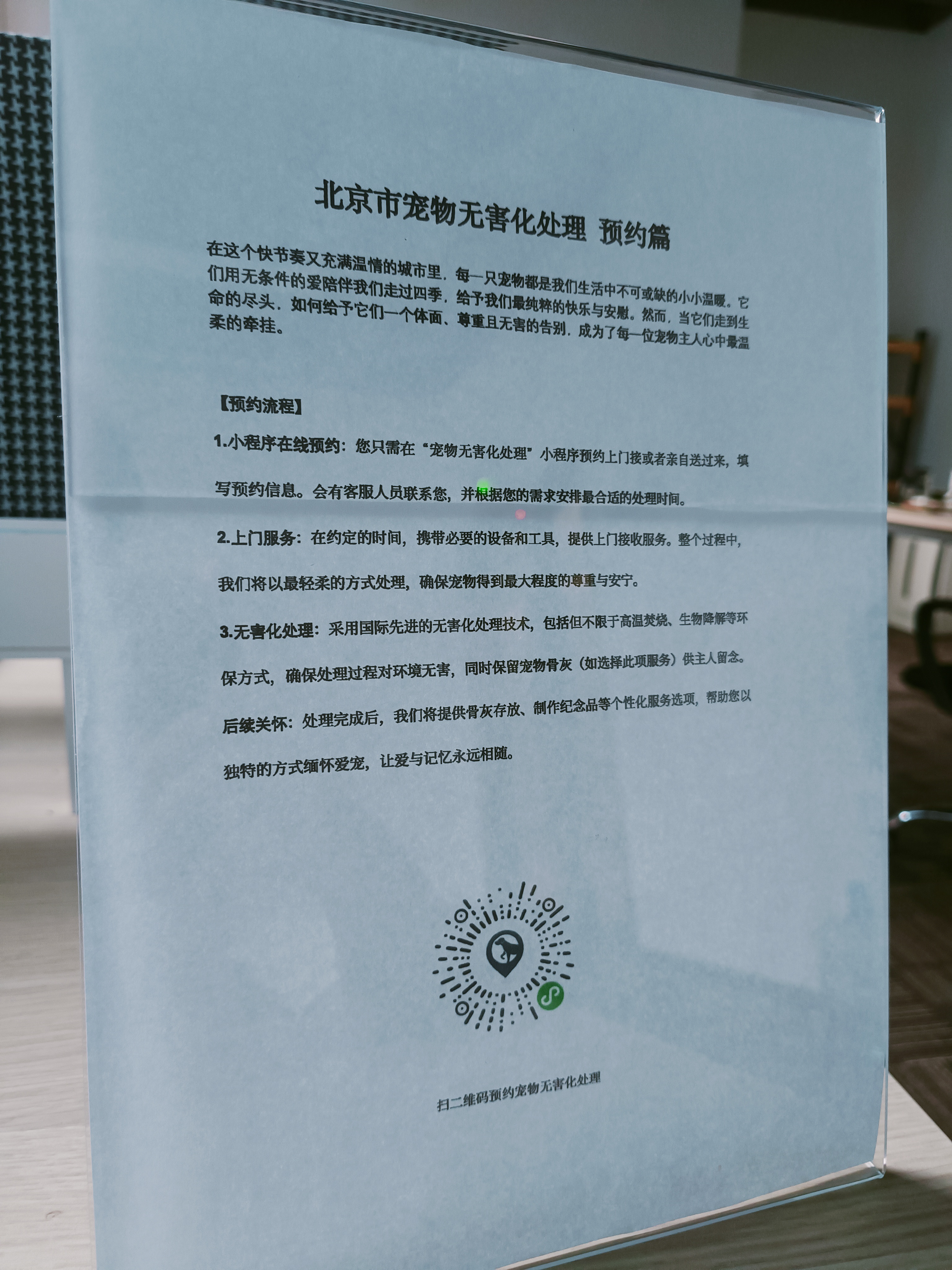 海口宠物遗体规范处理