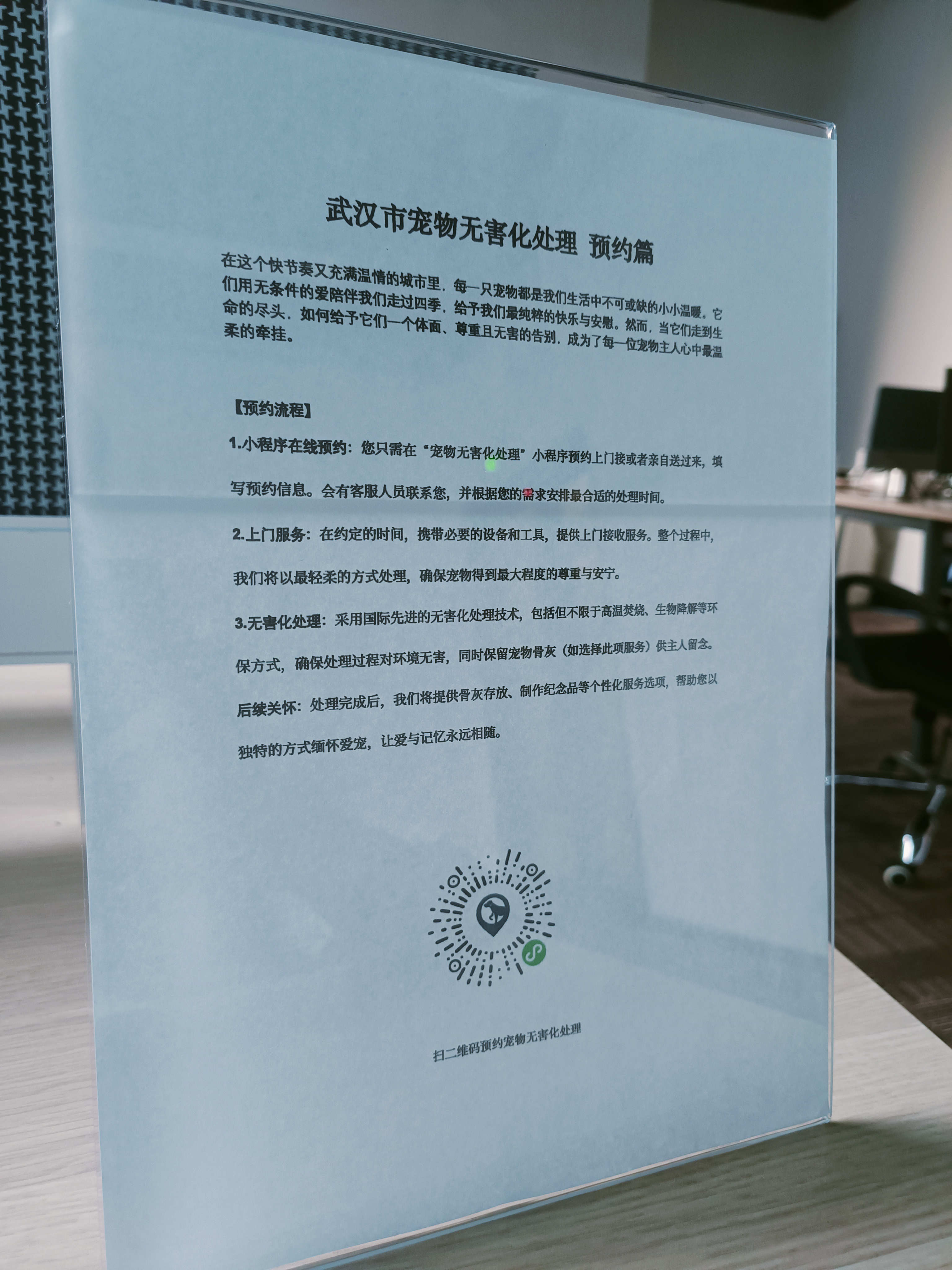 坡头宠摆渡服务