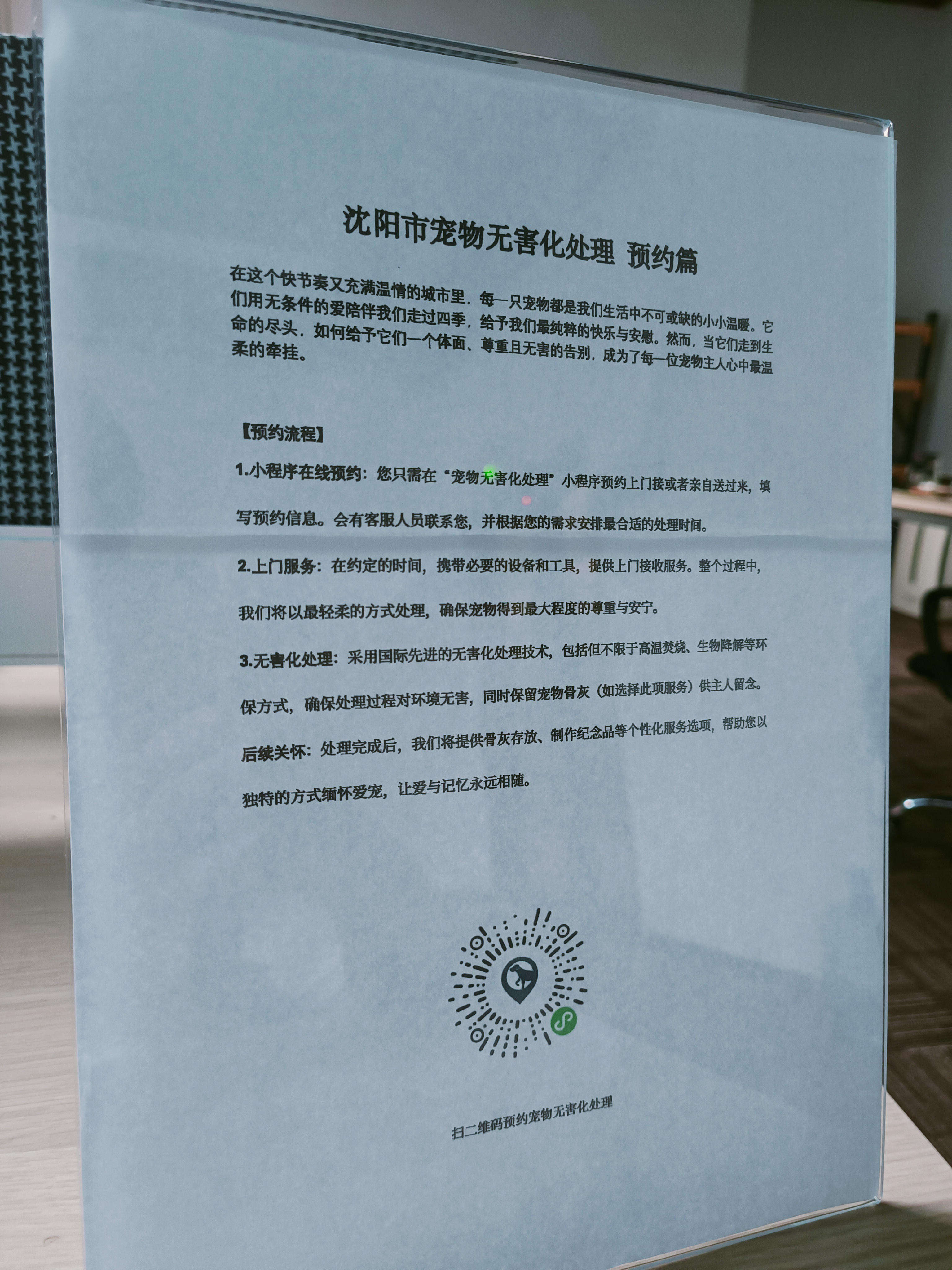 郴州宠物遗体规范处理