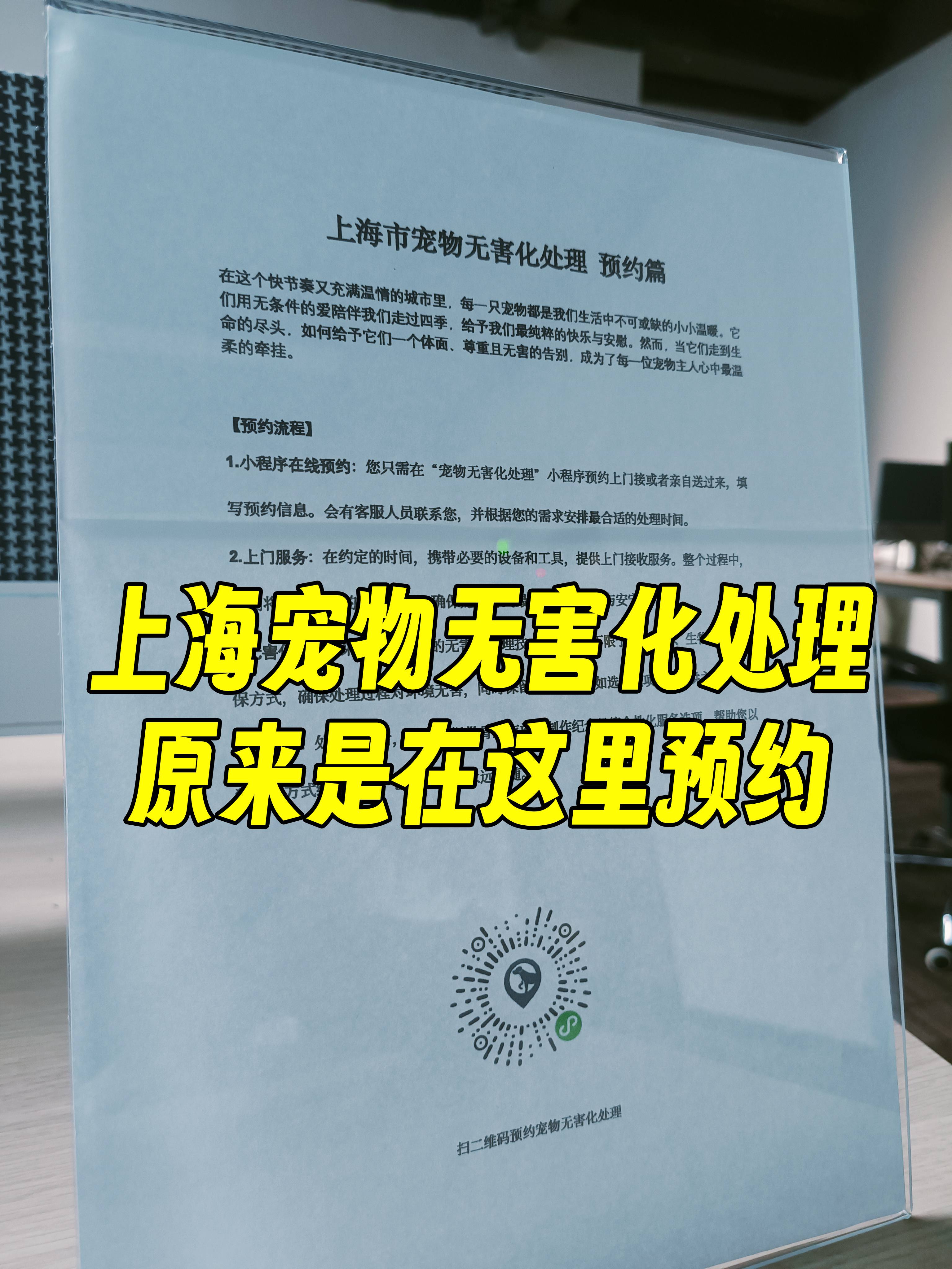 三亚宠物无害化处理机构