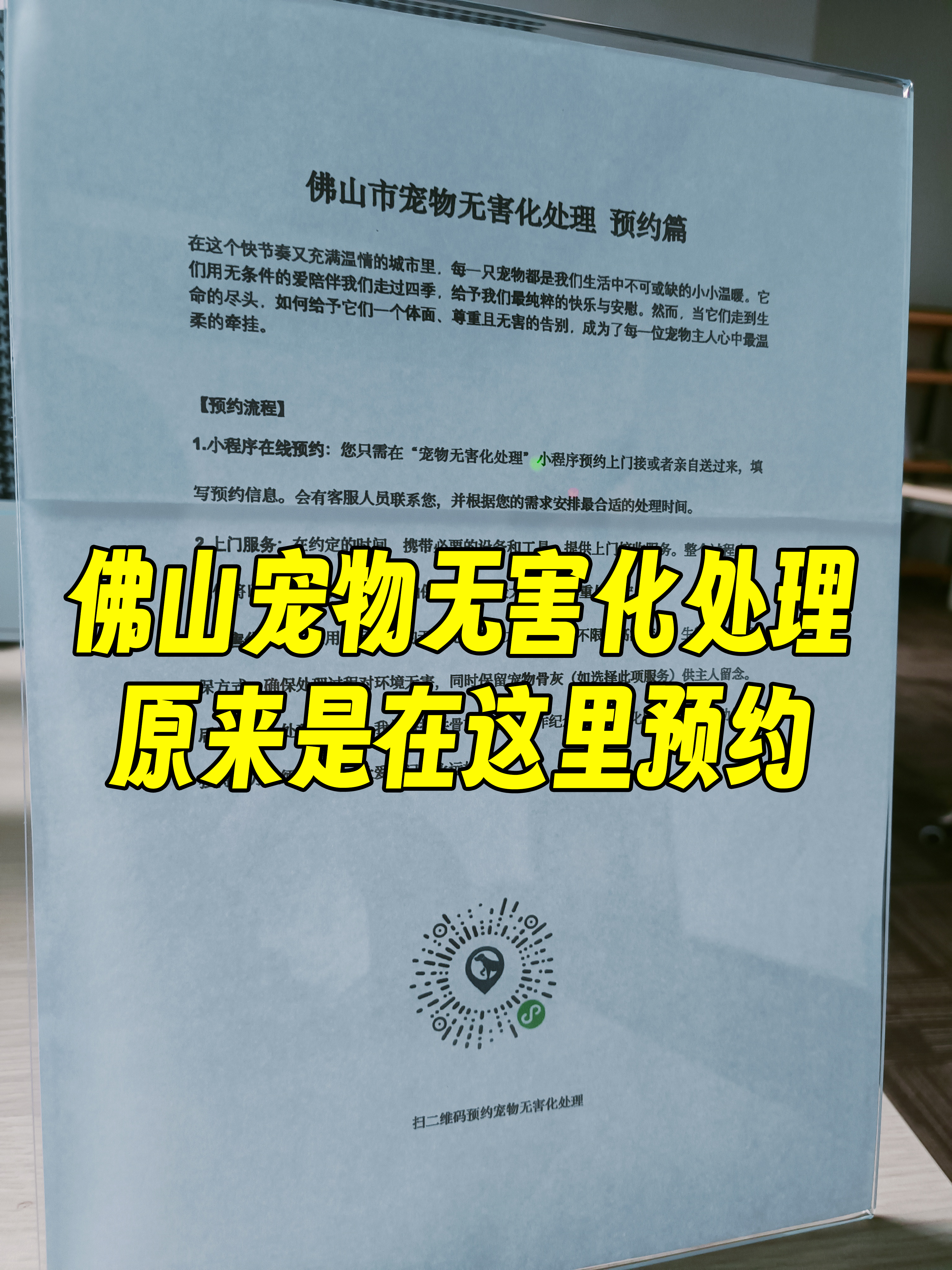 太原宠物无害化处理
