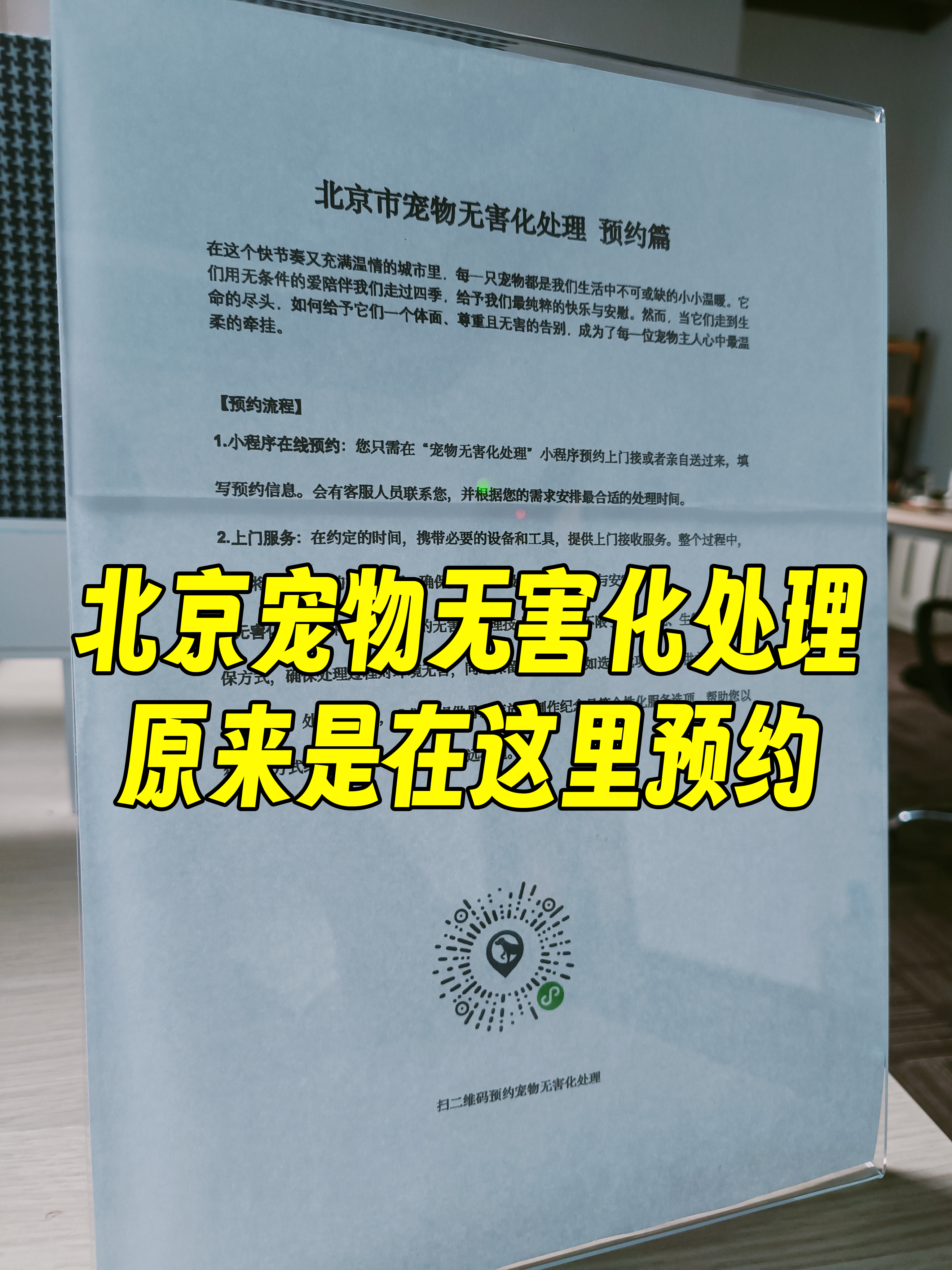 绩溪宠物接运服务