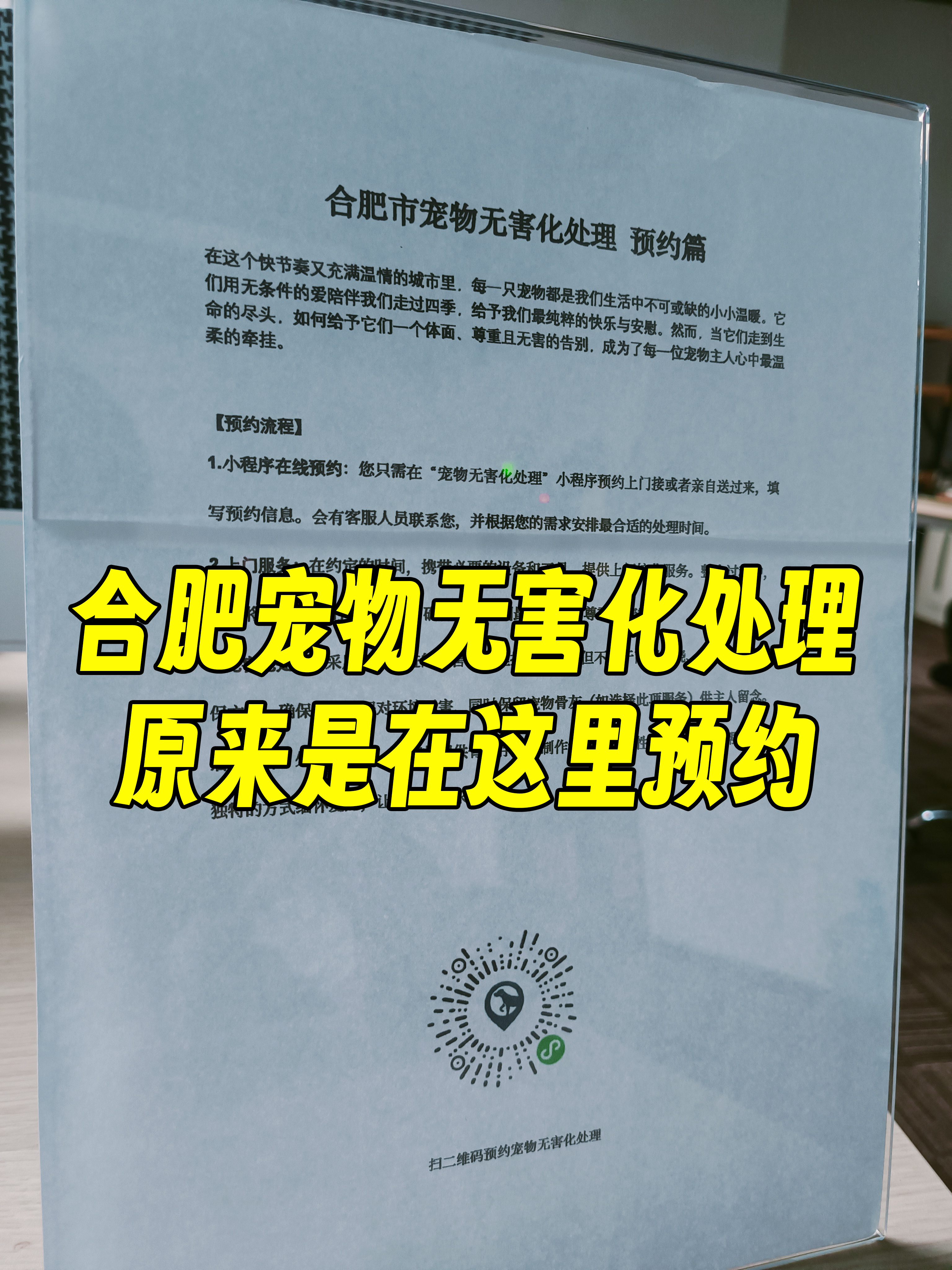 旌德宠物无害化处理流程