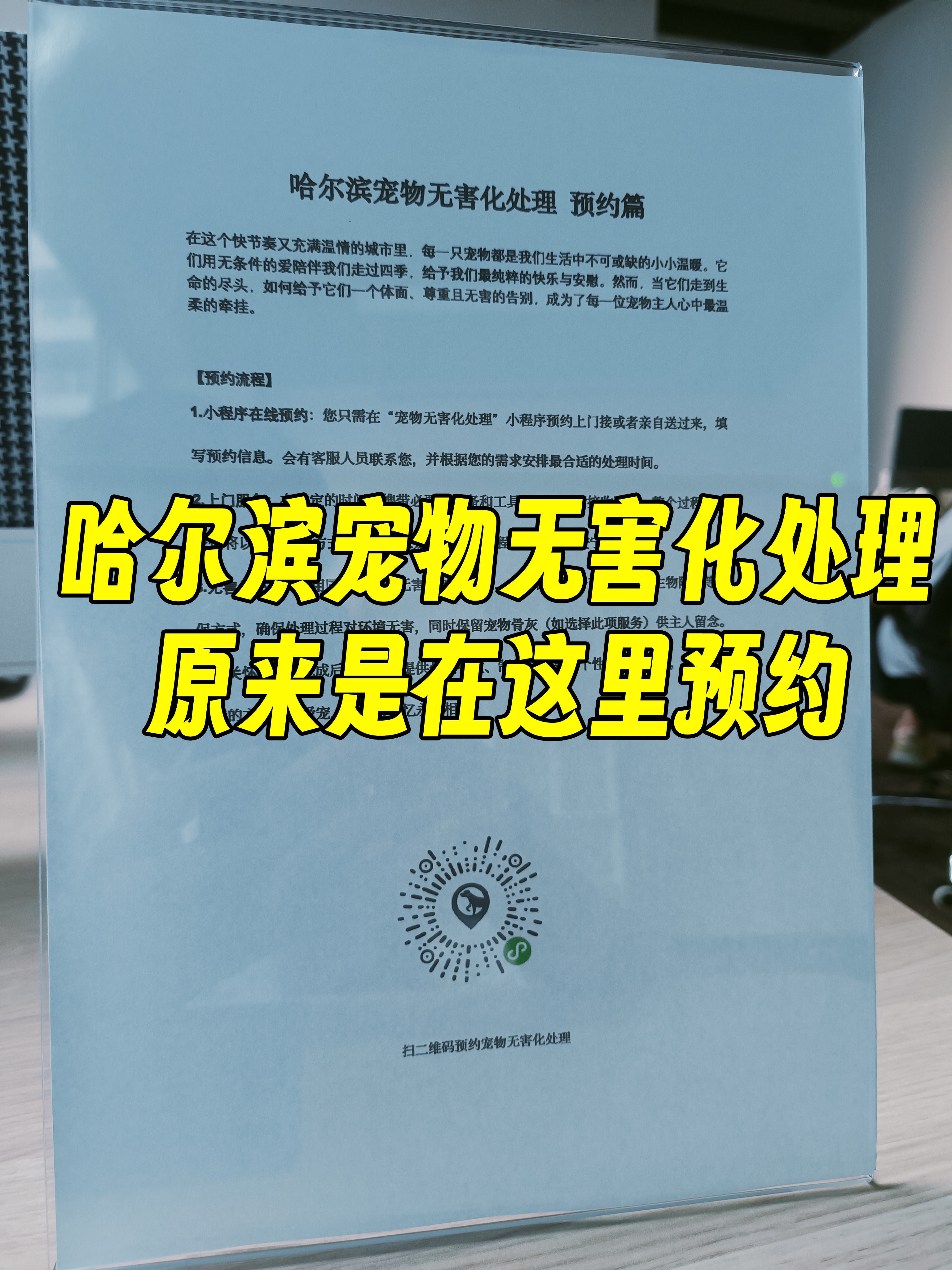 湘潭宠物无害化处理