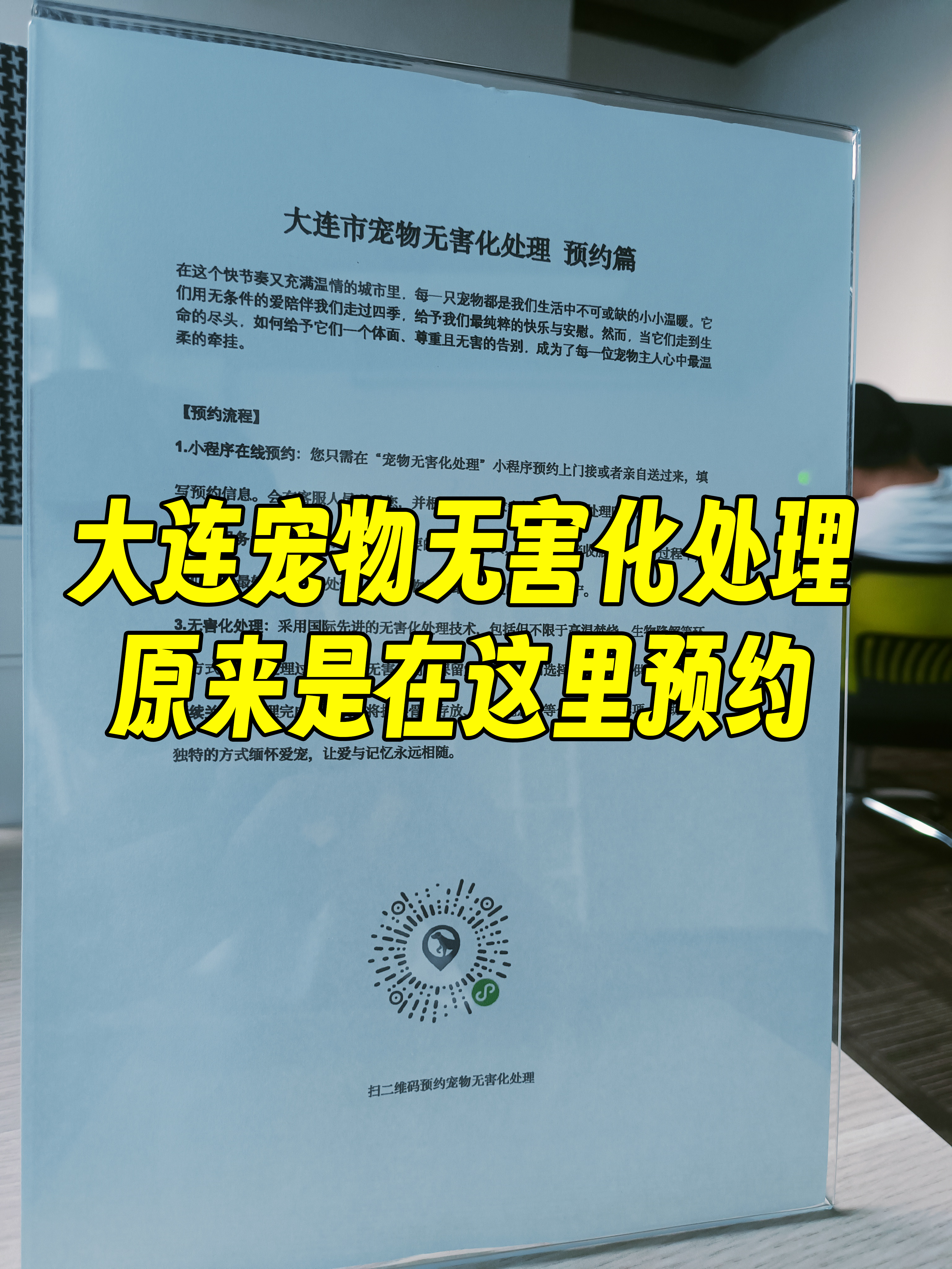 旌德宠物骨灰安置