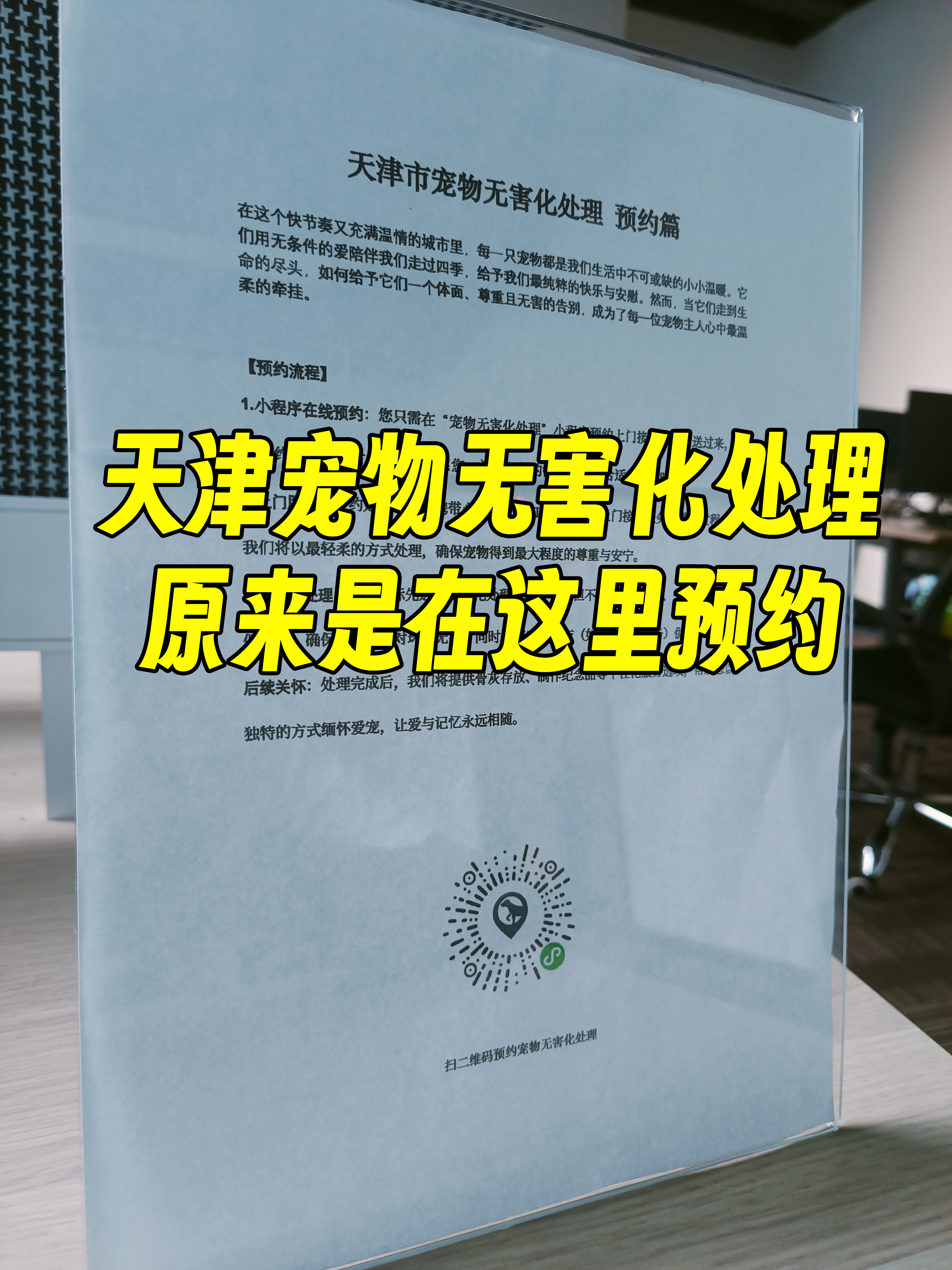 歙县宠物无害化处理