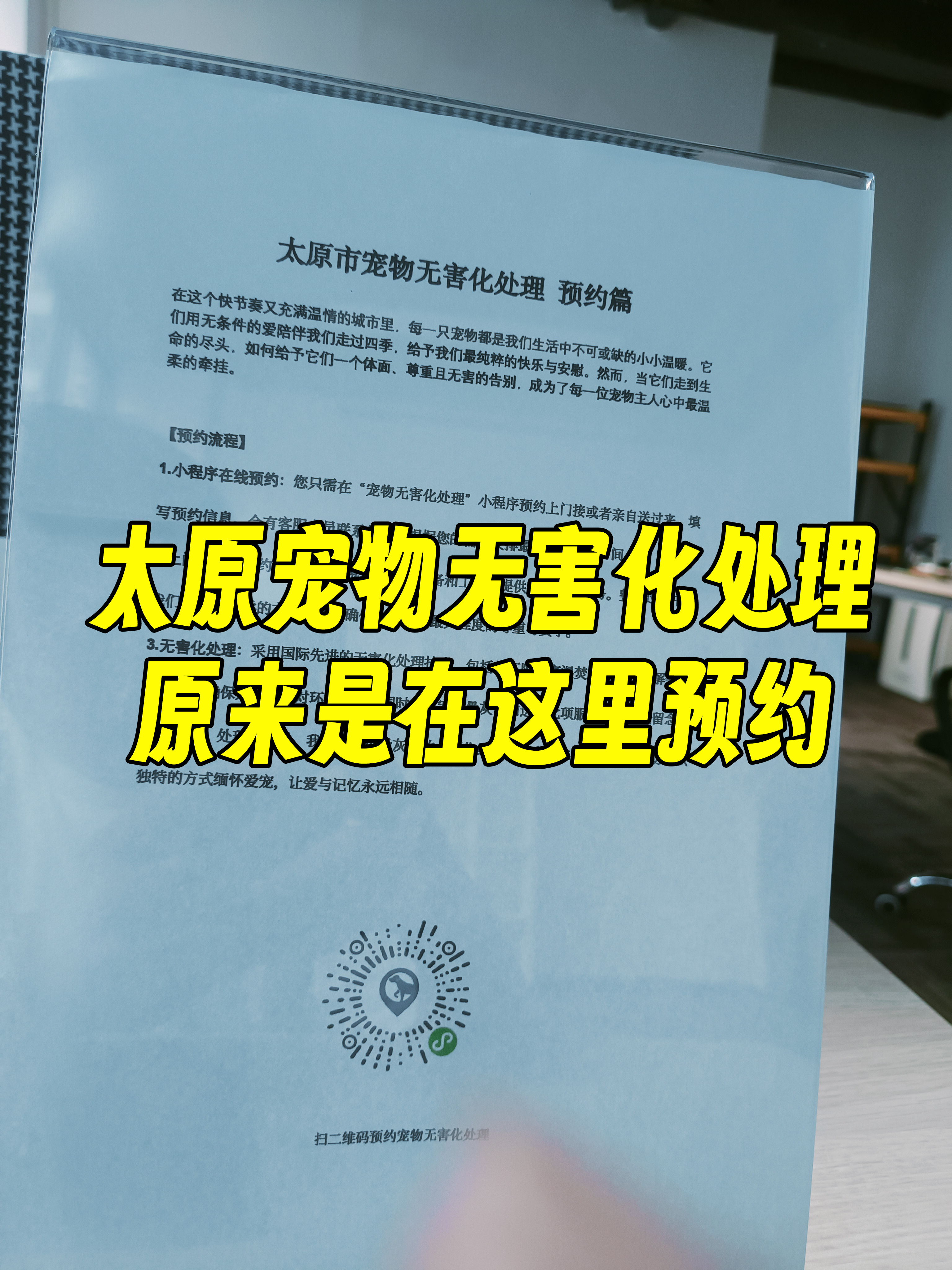 大连宠物无害化处理