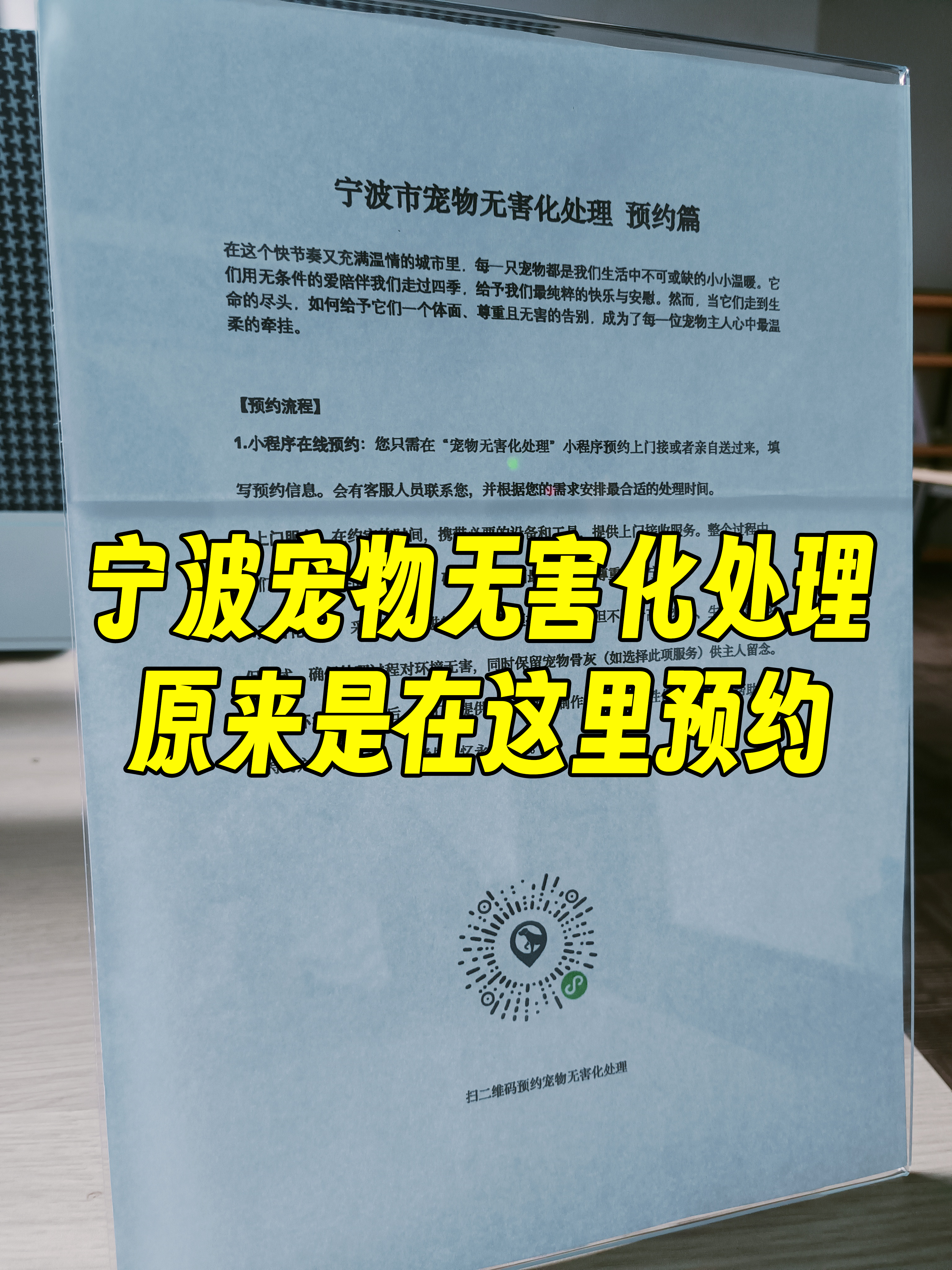 歙县宠摆渡服务