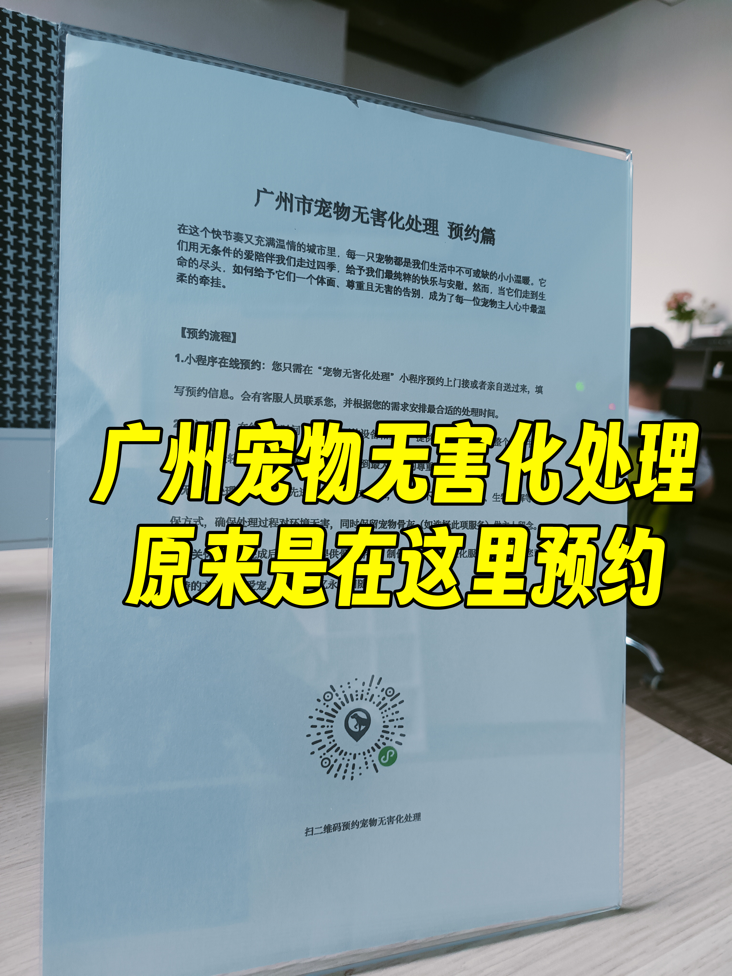 歙县宠物无害化处理流程
