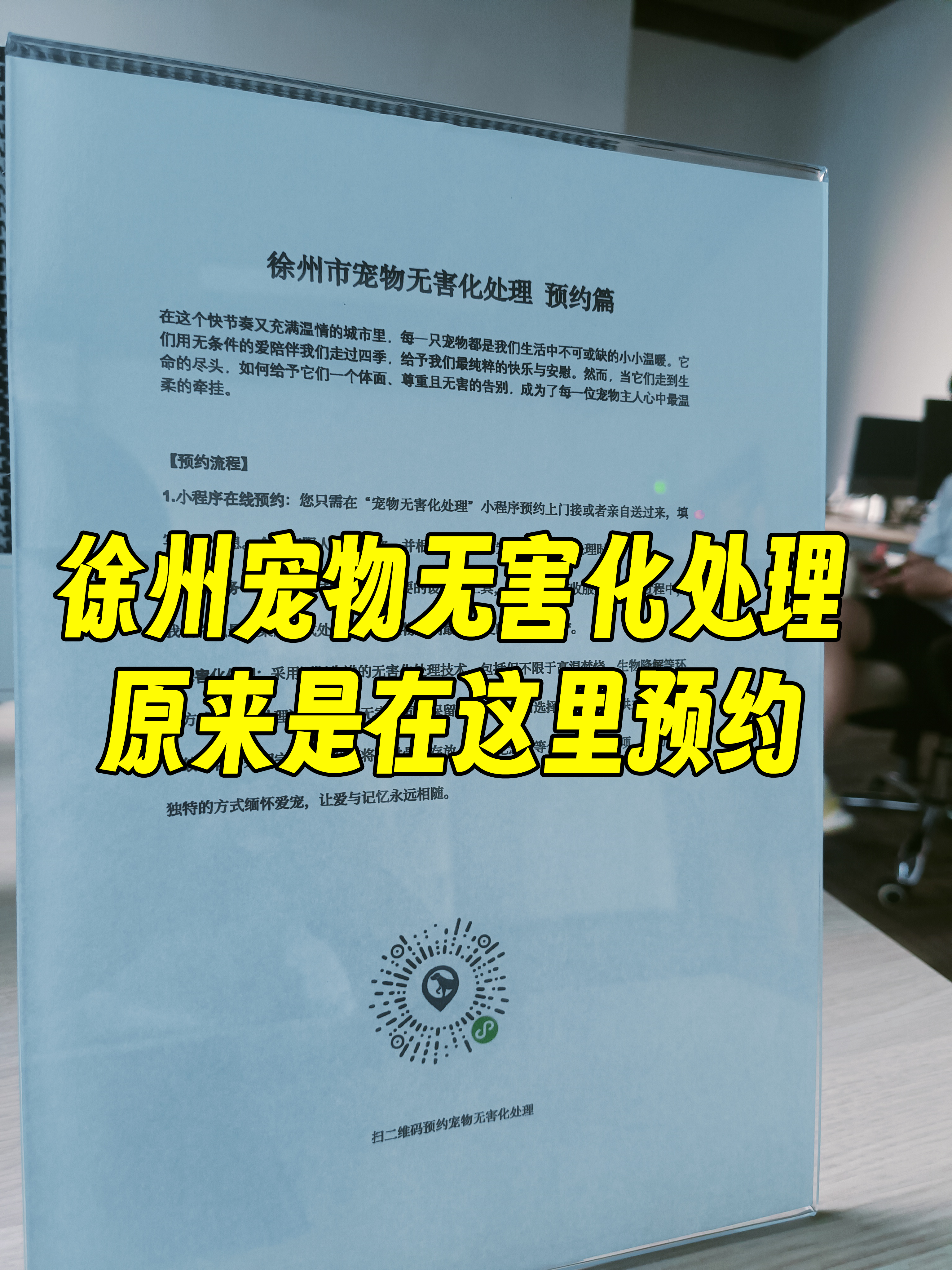 歙县宠物接运服务