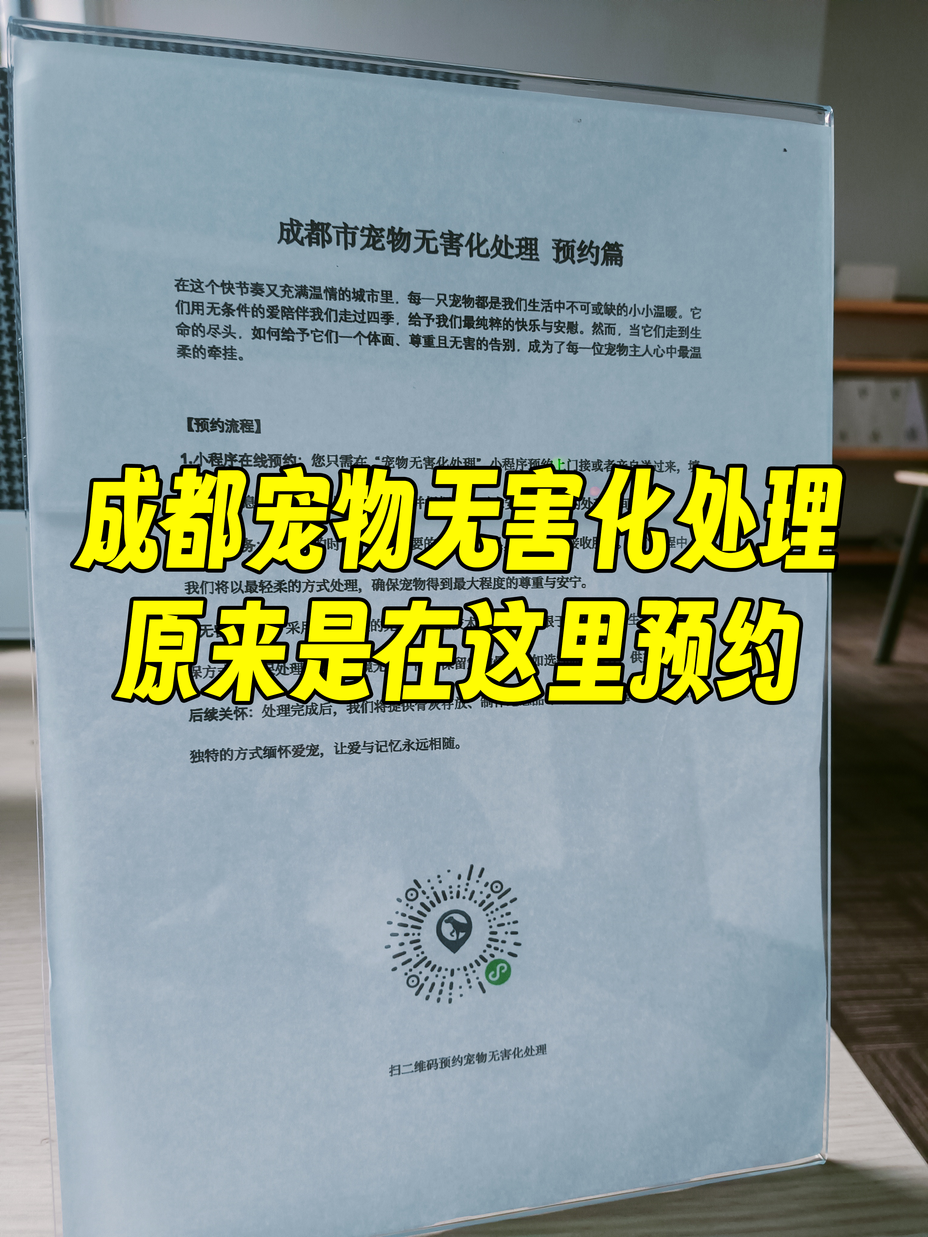 娄底宠物无害化处理