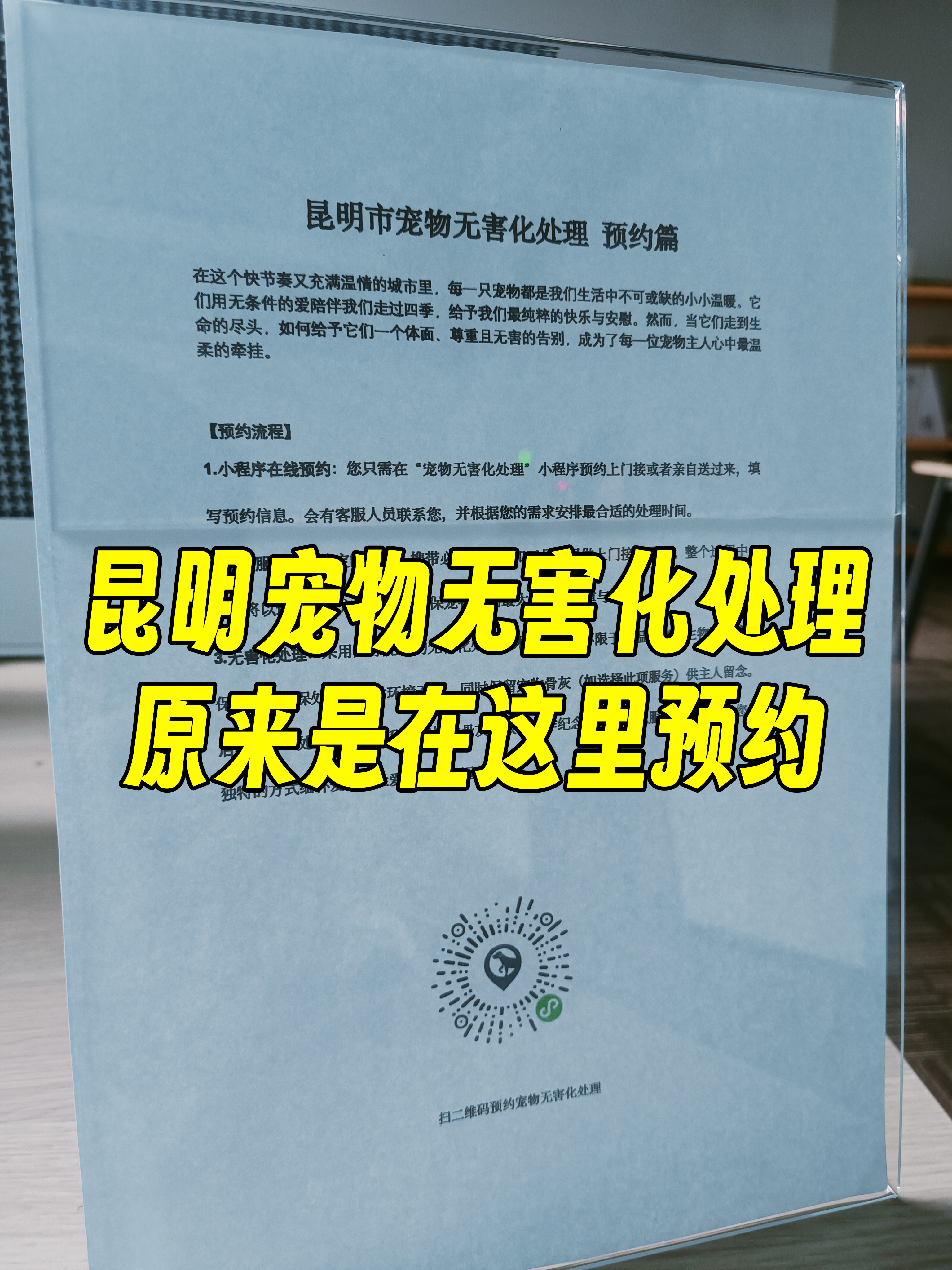 休宁宠物无害化