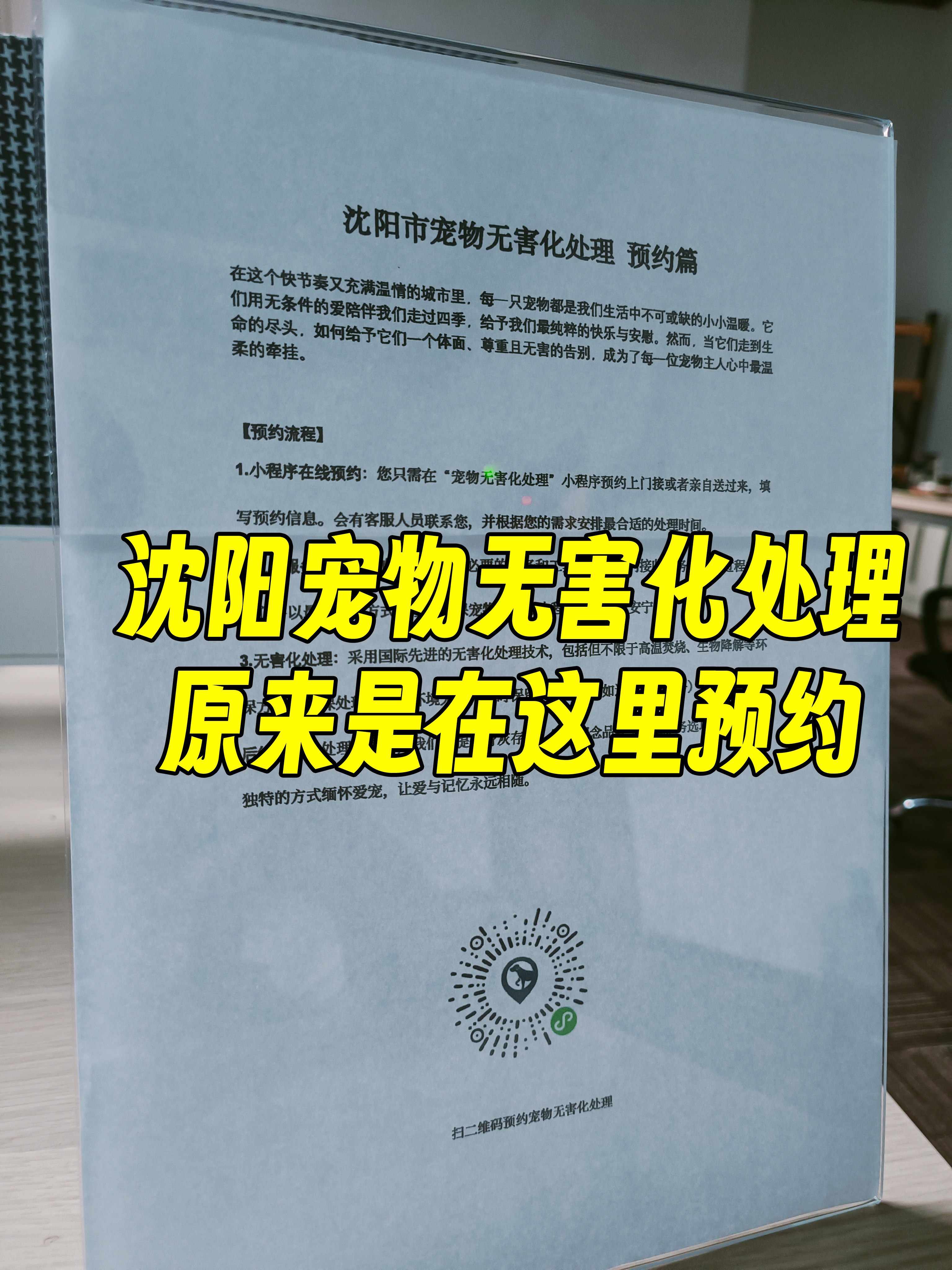 休宁宠物无害化处理流程