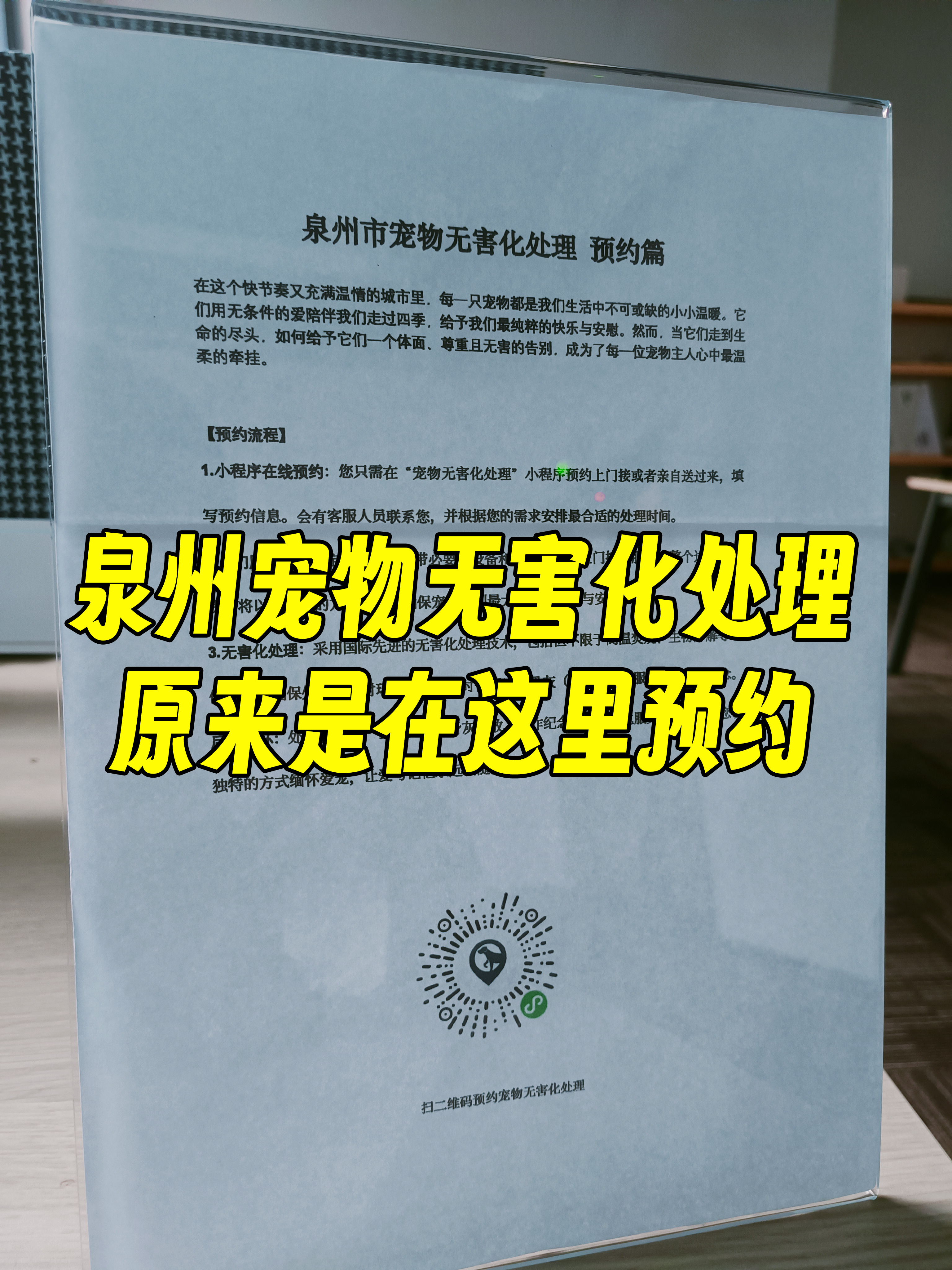 休宁宠物接运服务