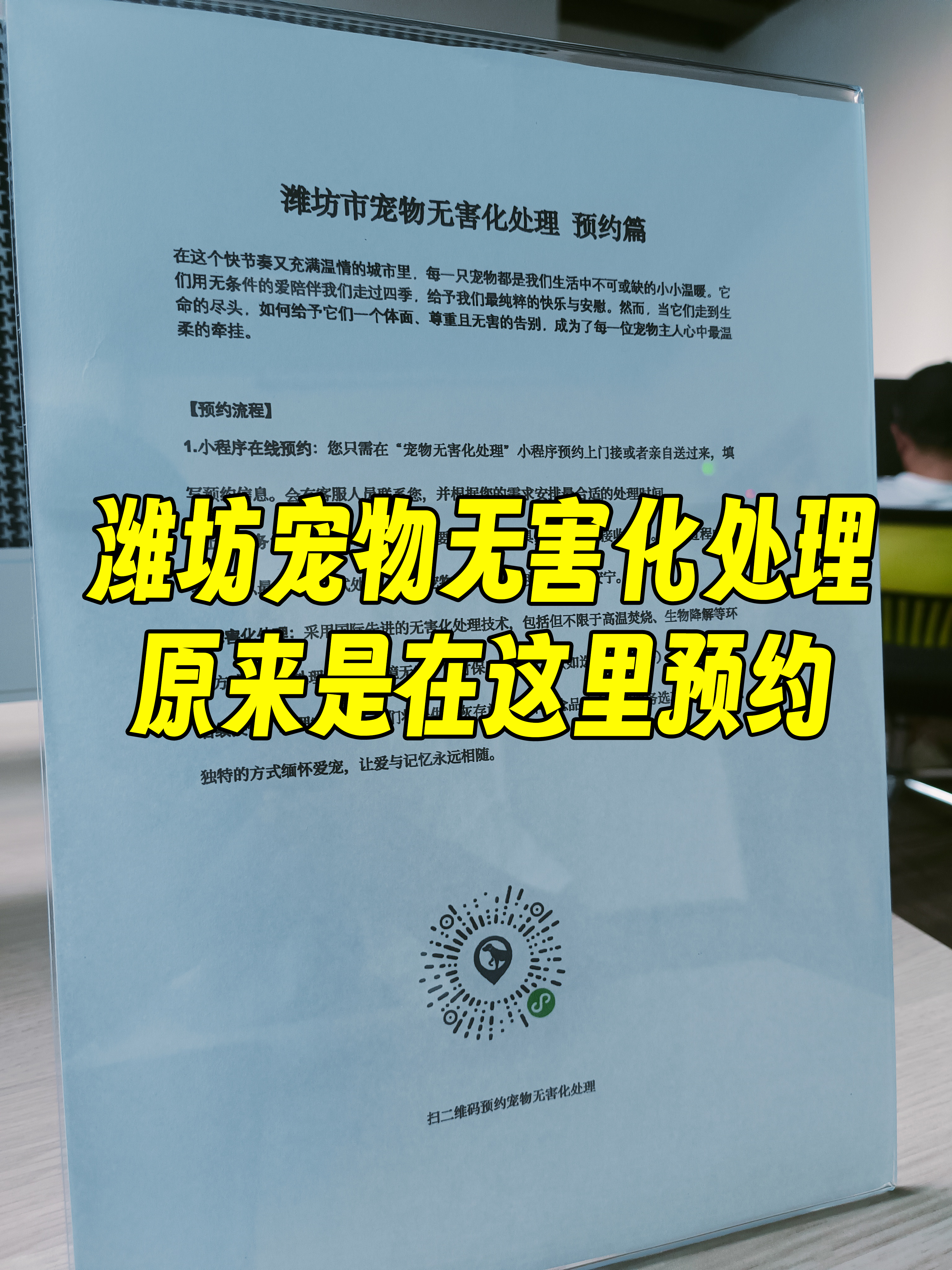 黟县宠物无害化