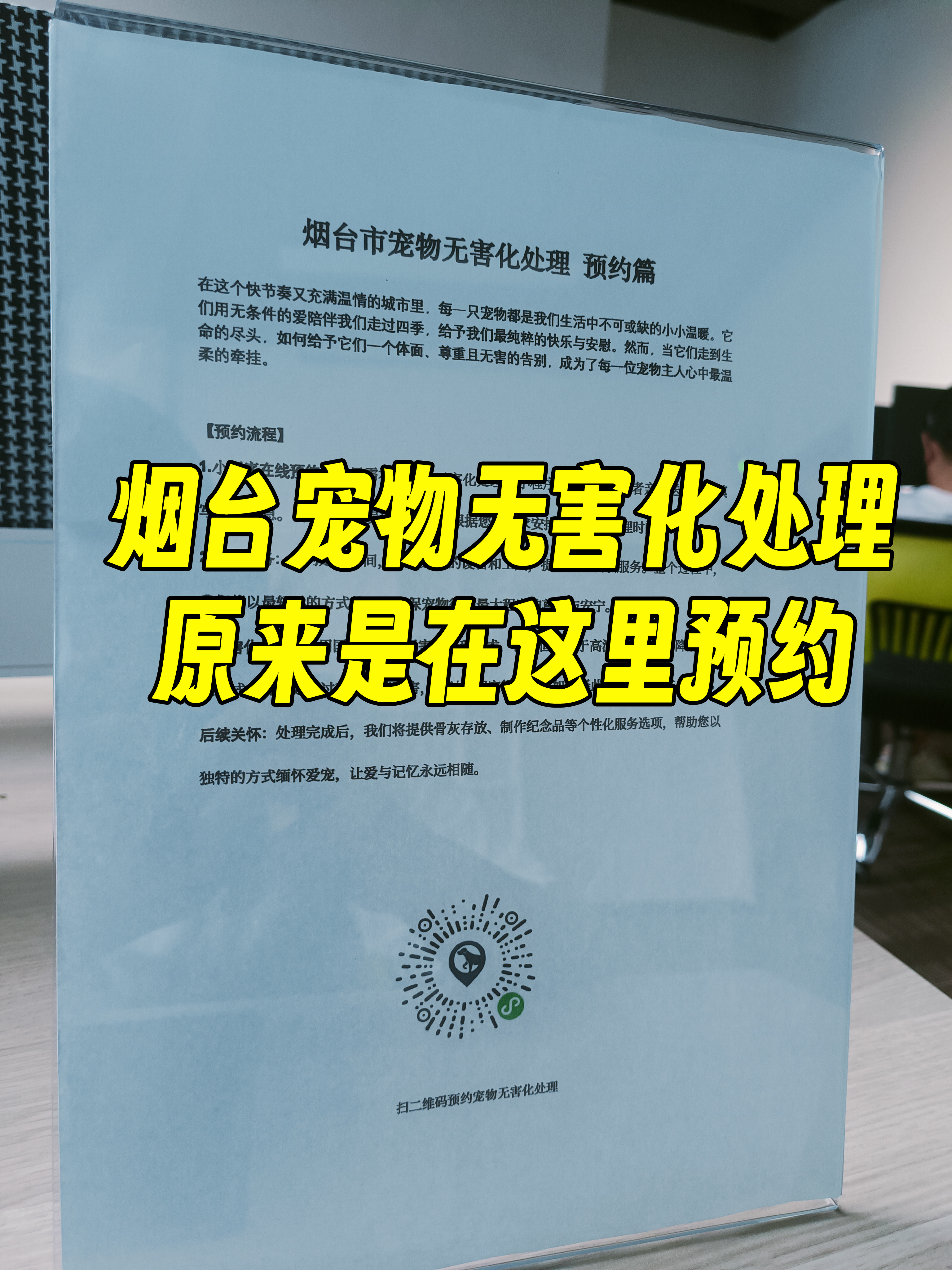 黟县宠摆渡服务