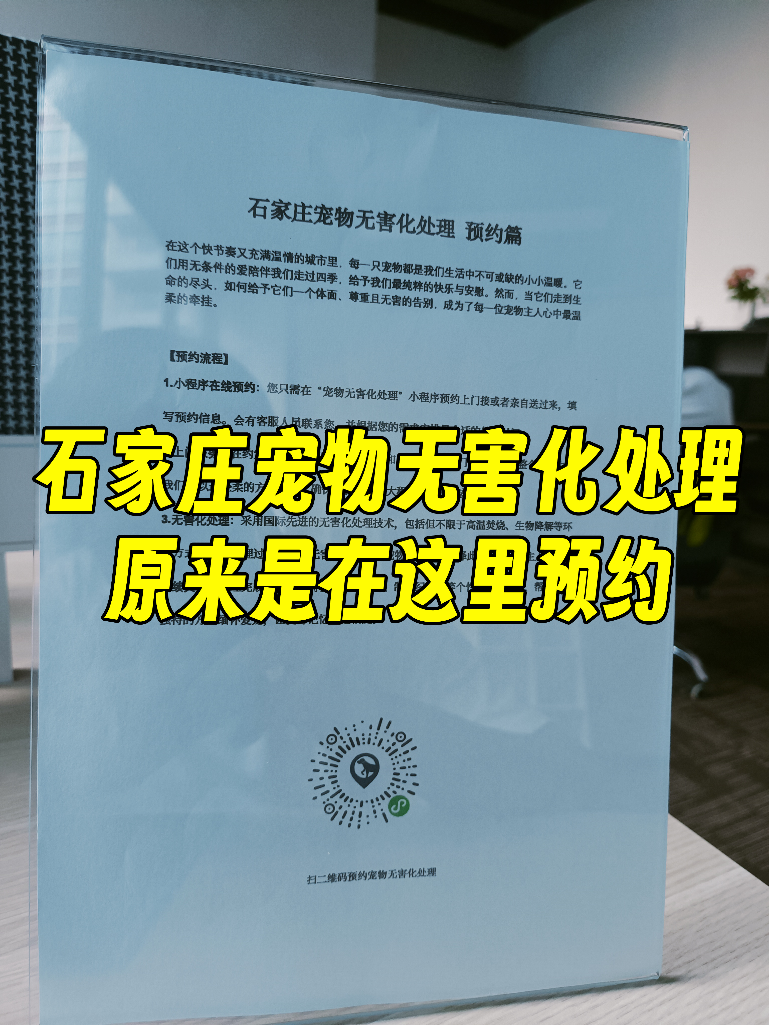 黟县宠物无害化处理流程