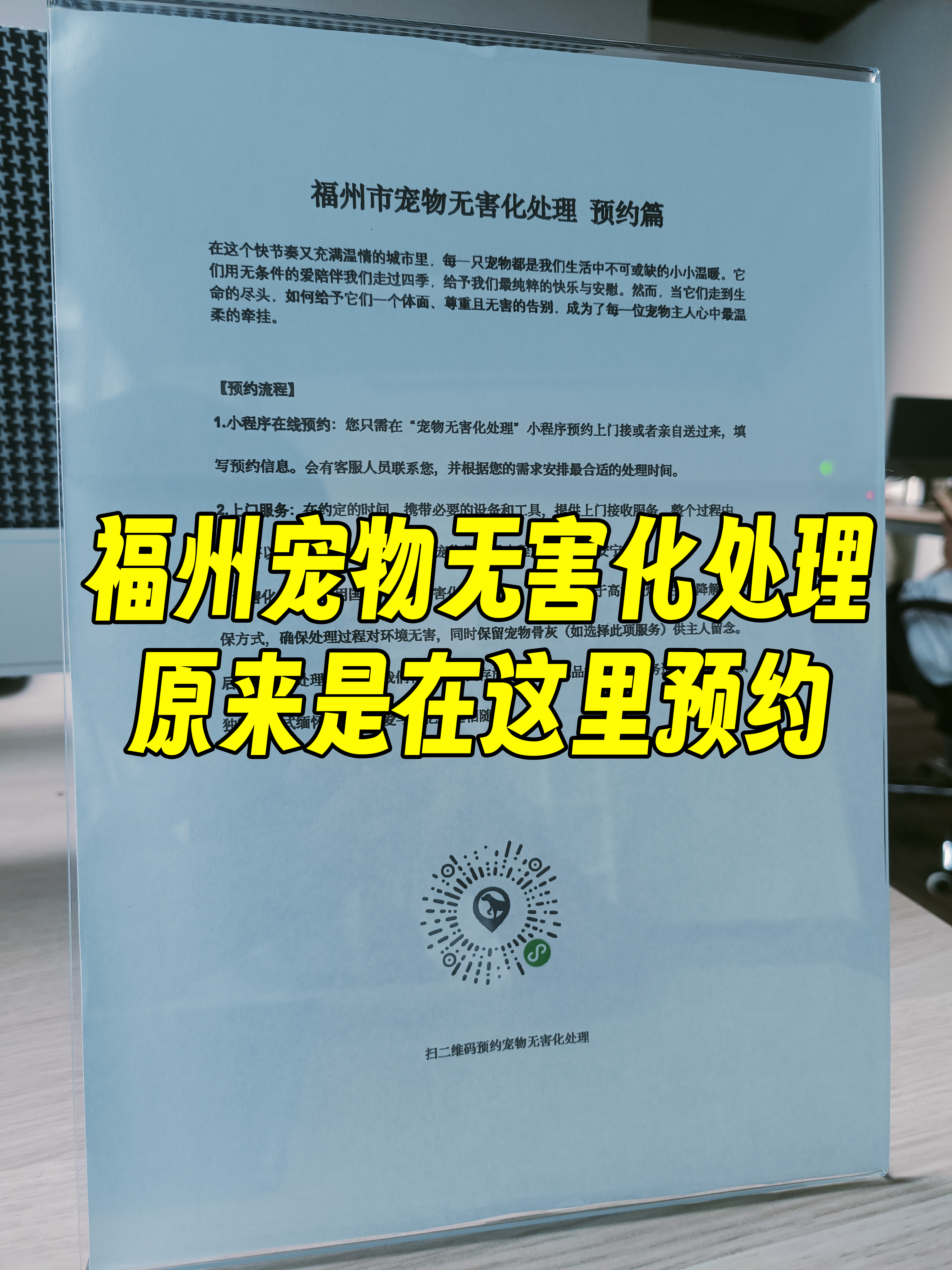 黟县宠物接运服务