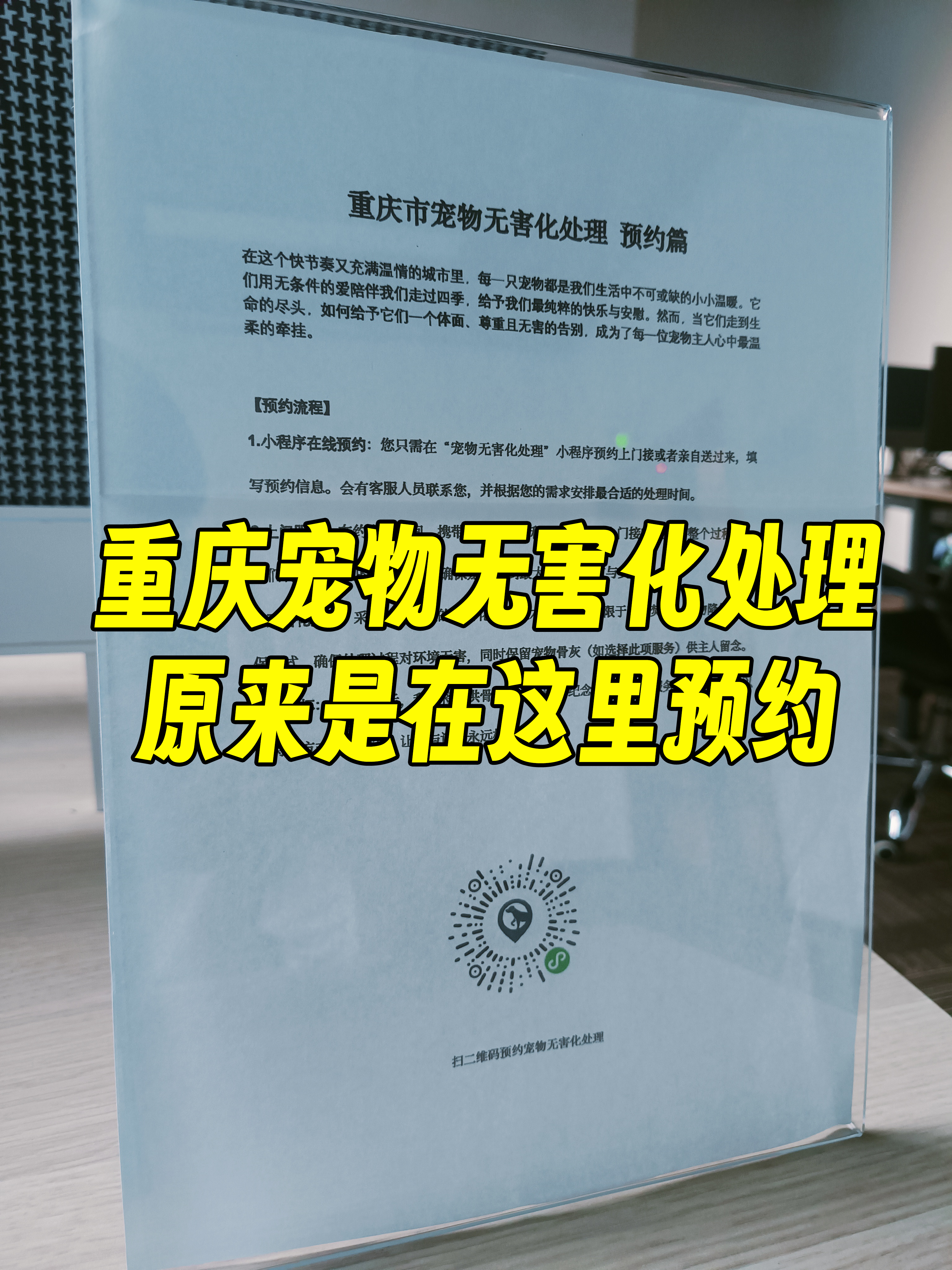 祁门宠物告别
