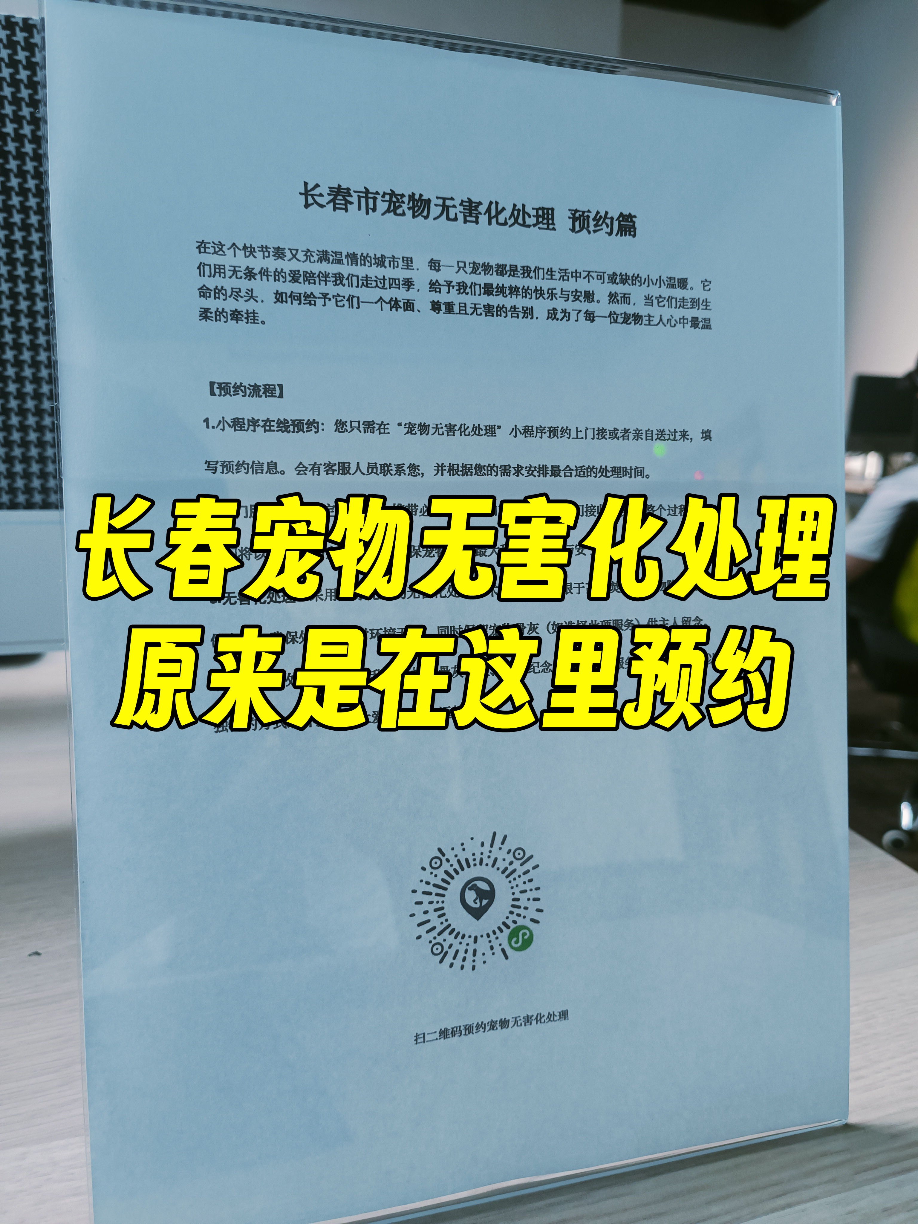 祁门宠物接运服务
