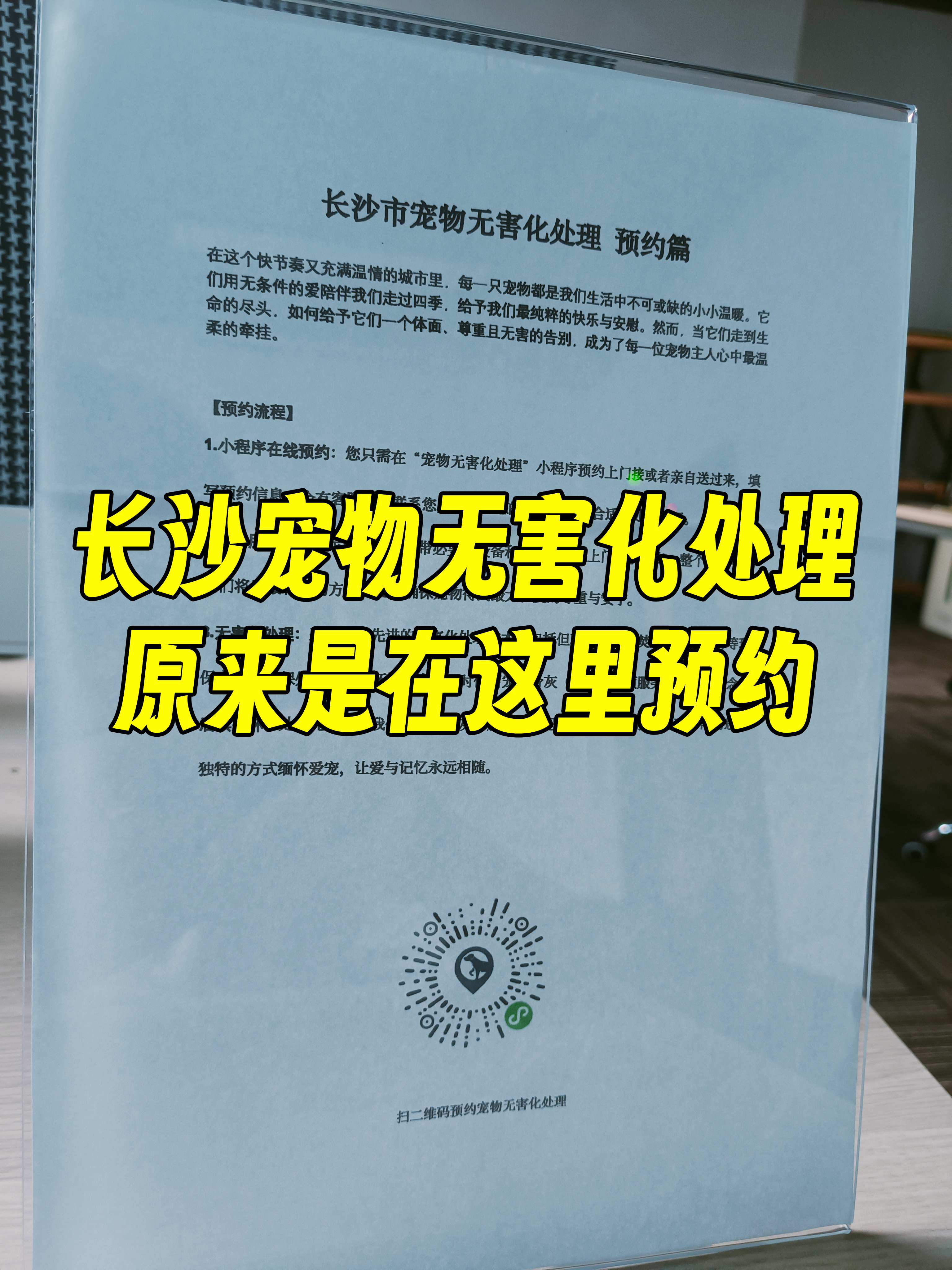 祁门宠物告别厅