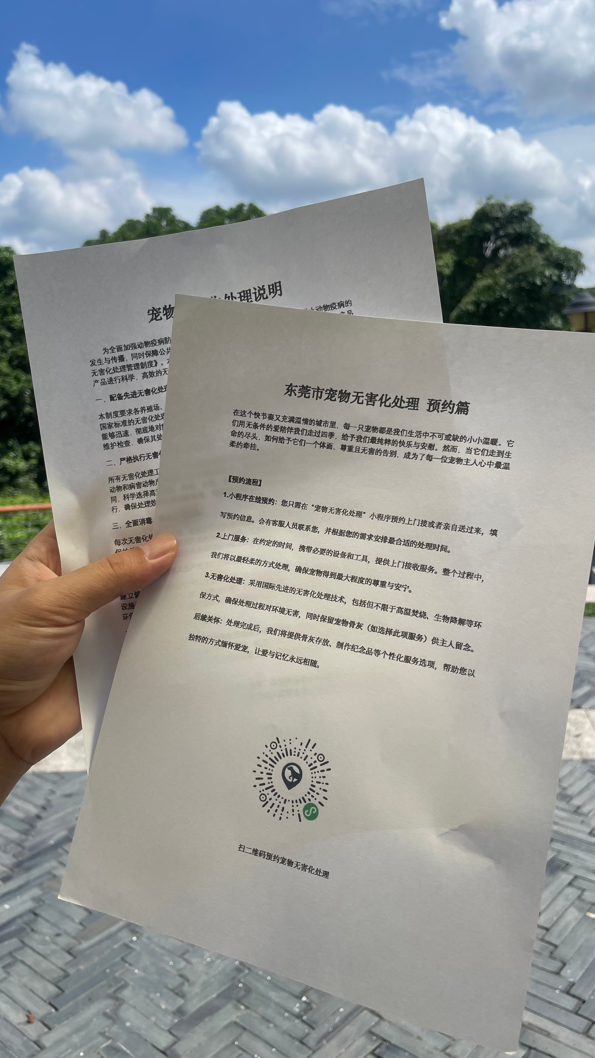 石台宠物无害化