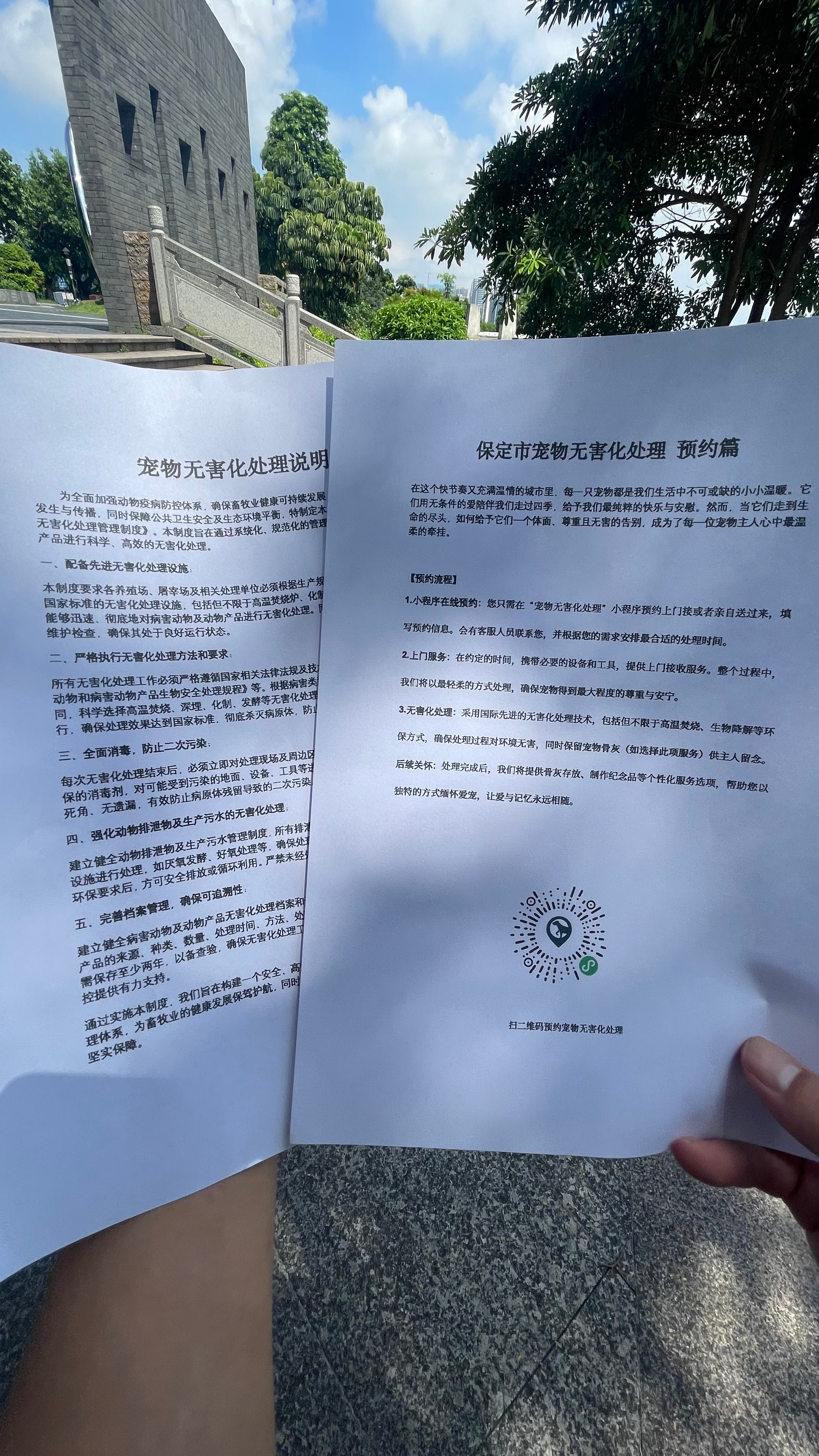恩施宠物遗体规范处理