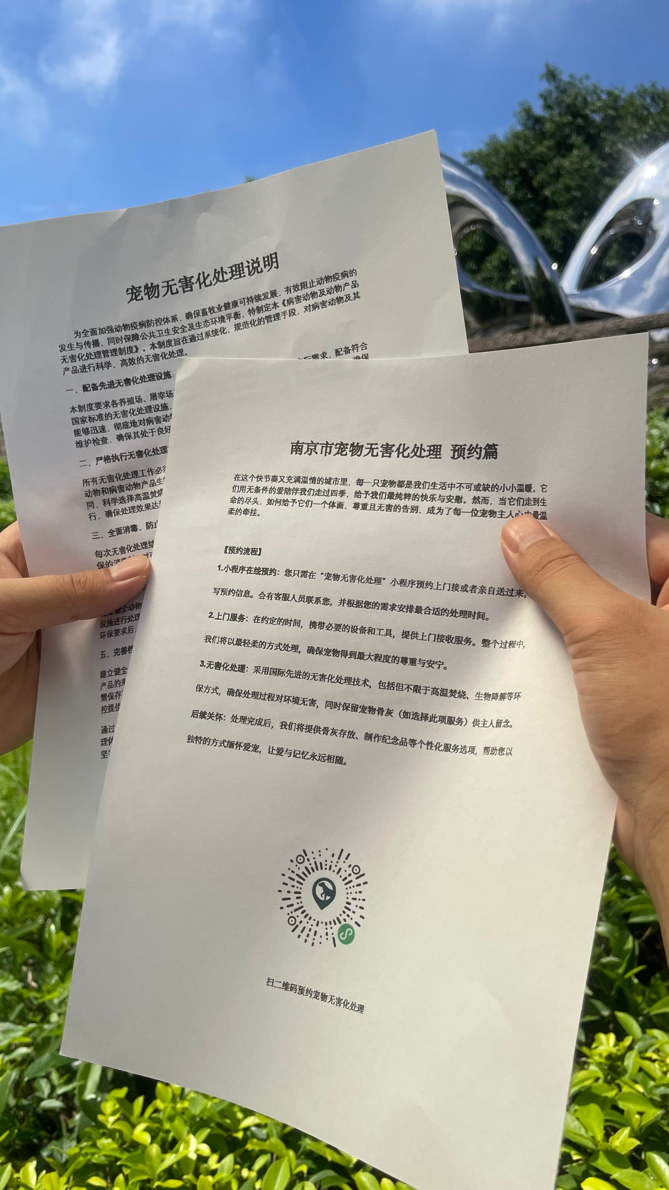 石台宠物骨灰安置