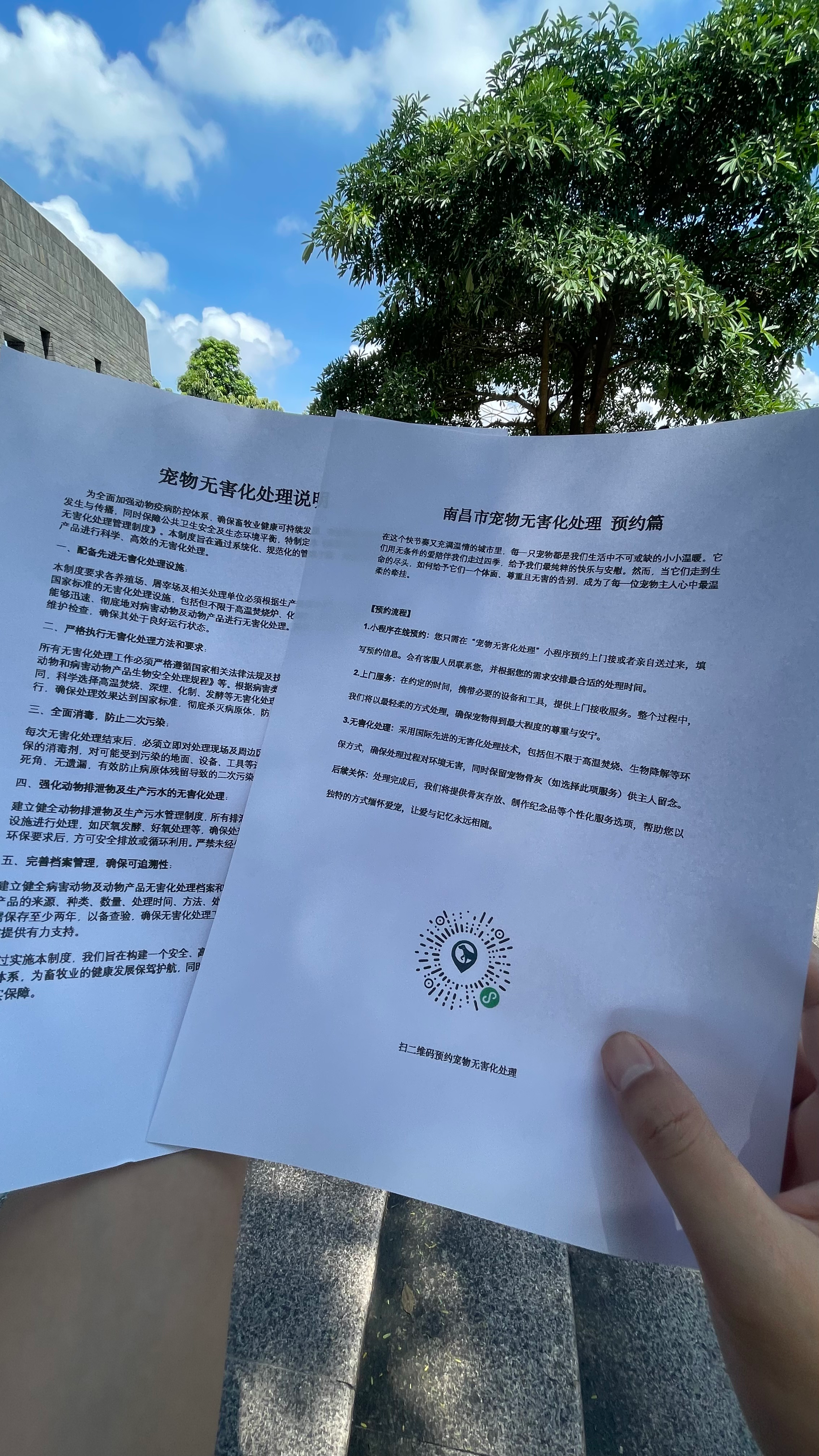 青阳宠物无害化