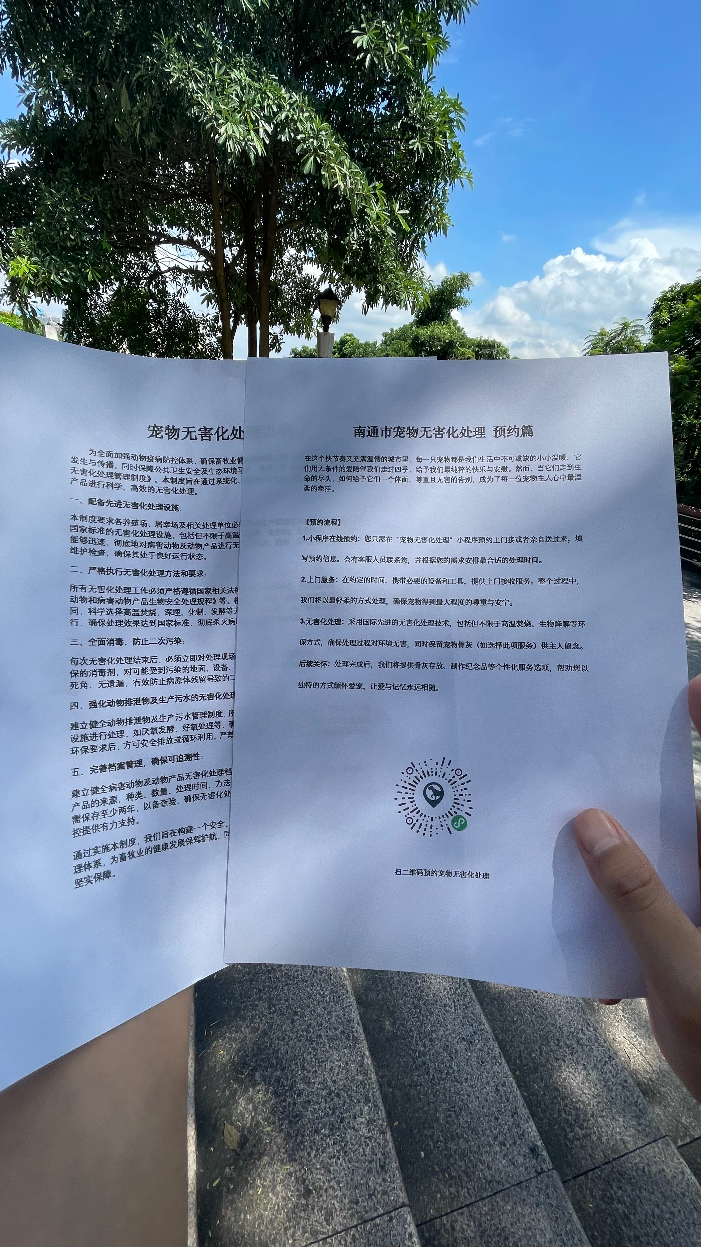 青阳宠摆渡服务