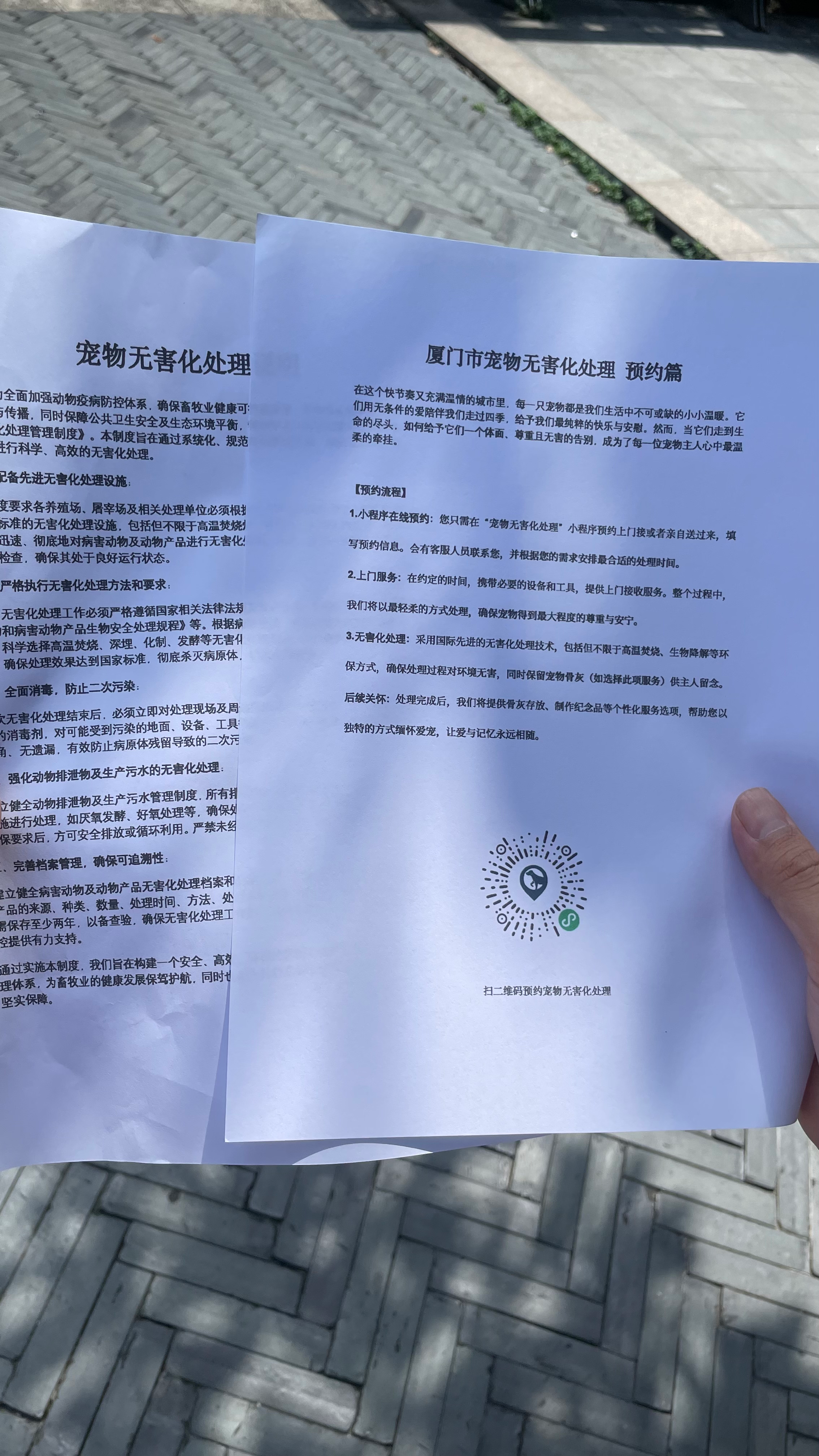 青阳宠物告别