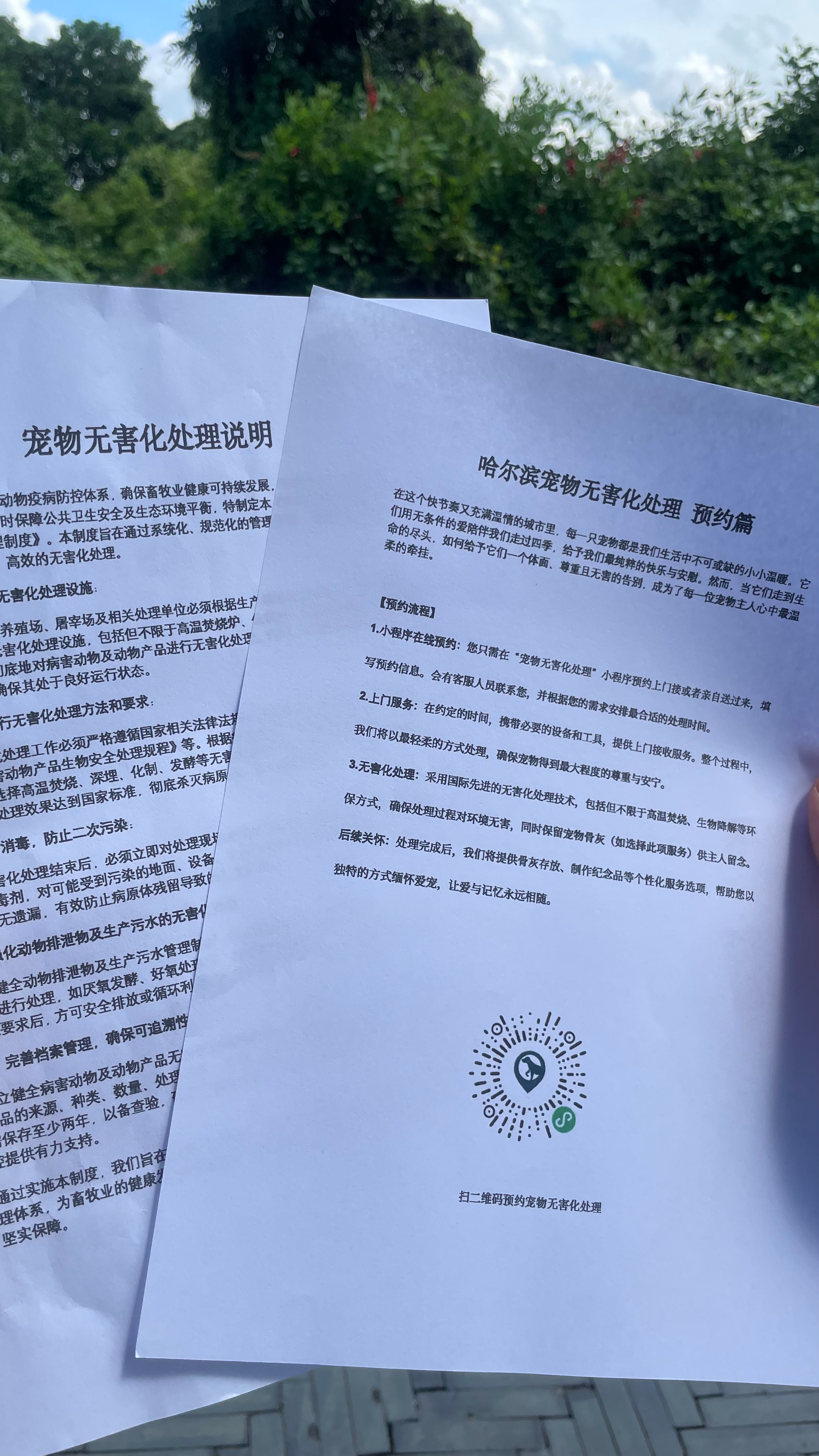 肇庆宠物无害化处理机构