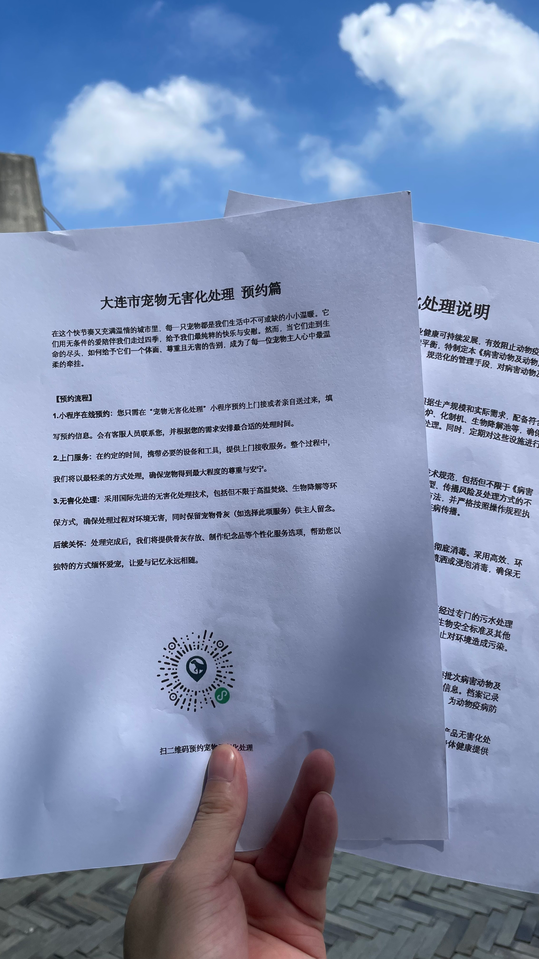 东至宠物无害化处理
