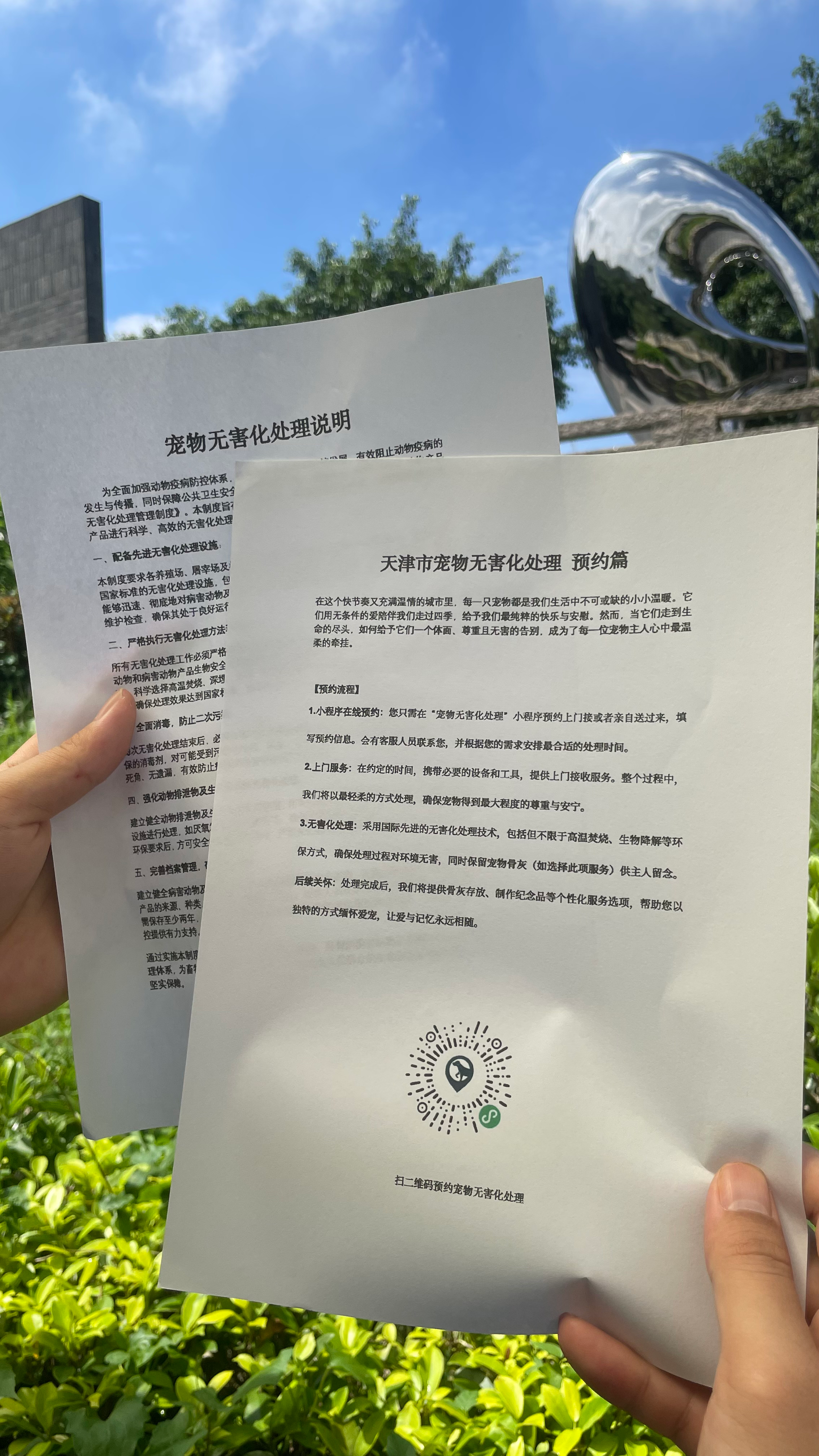 东至宠物无害化