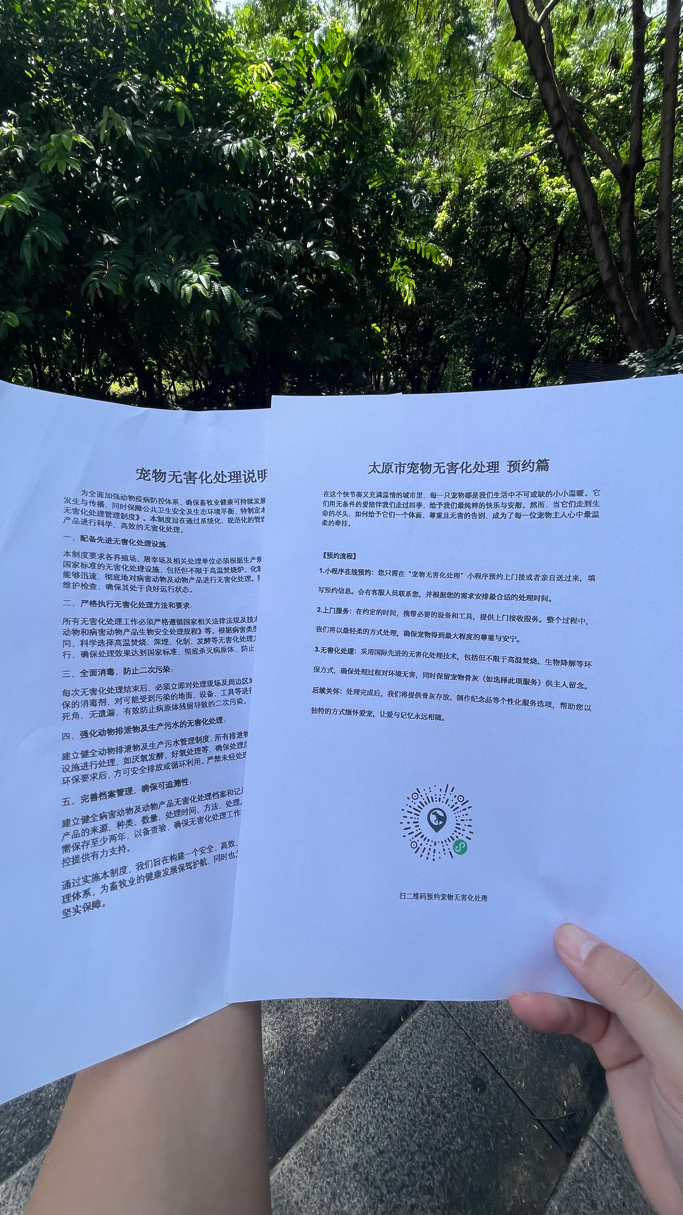 东至宠摆渡服务