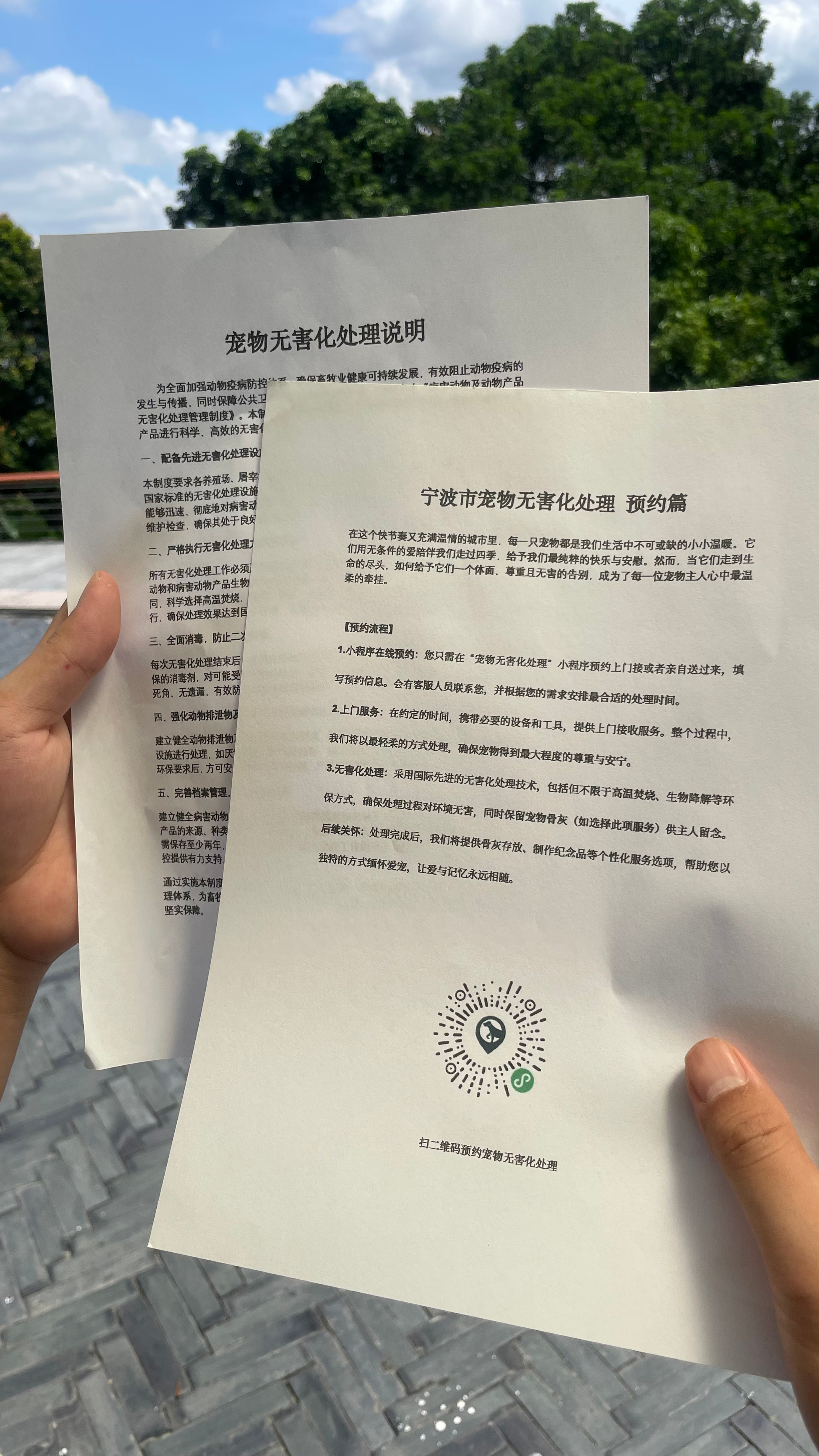 东至宠物告别