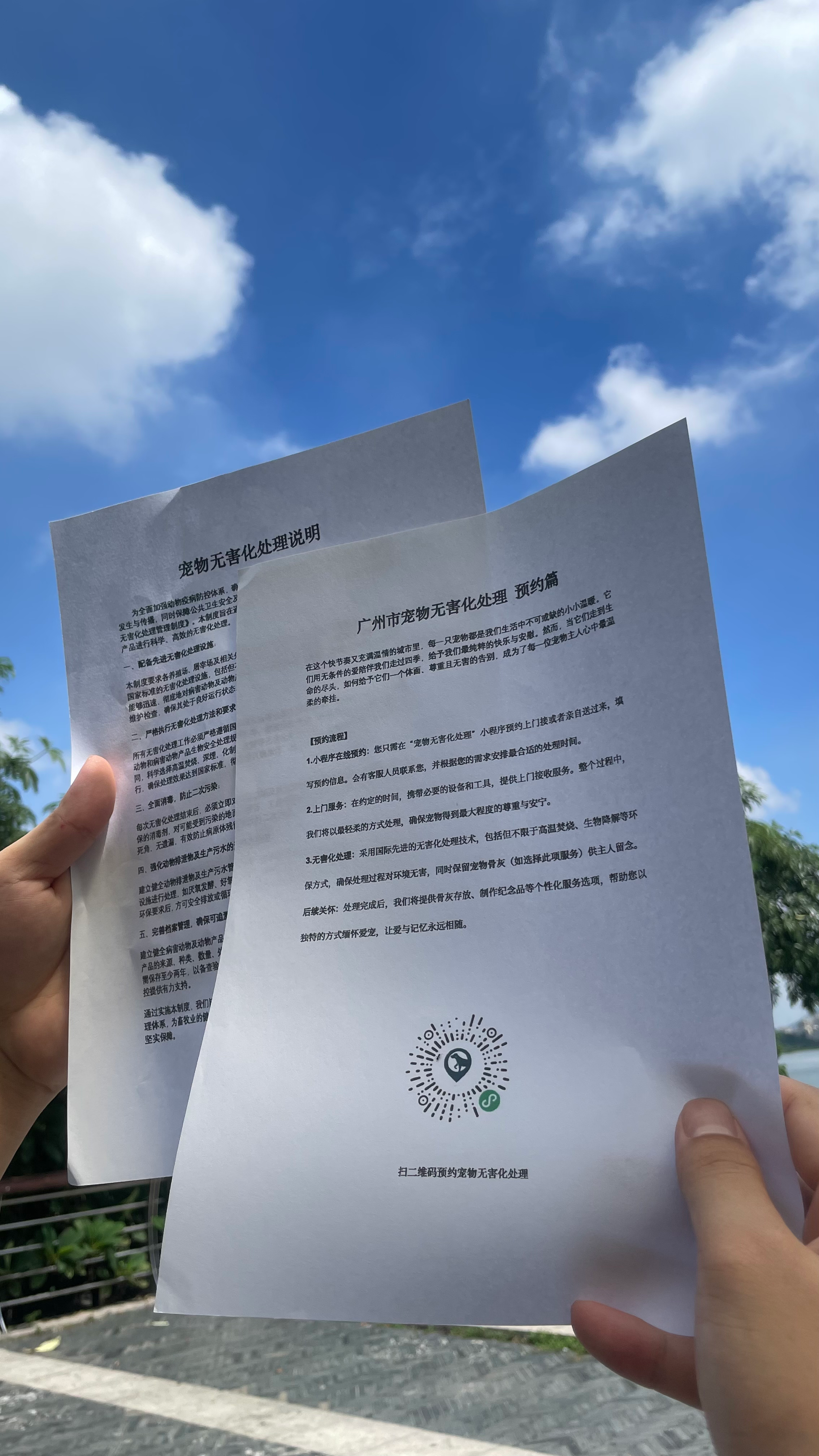 张家界宠物遗体规范处理