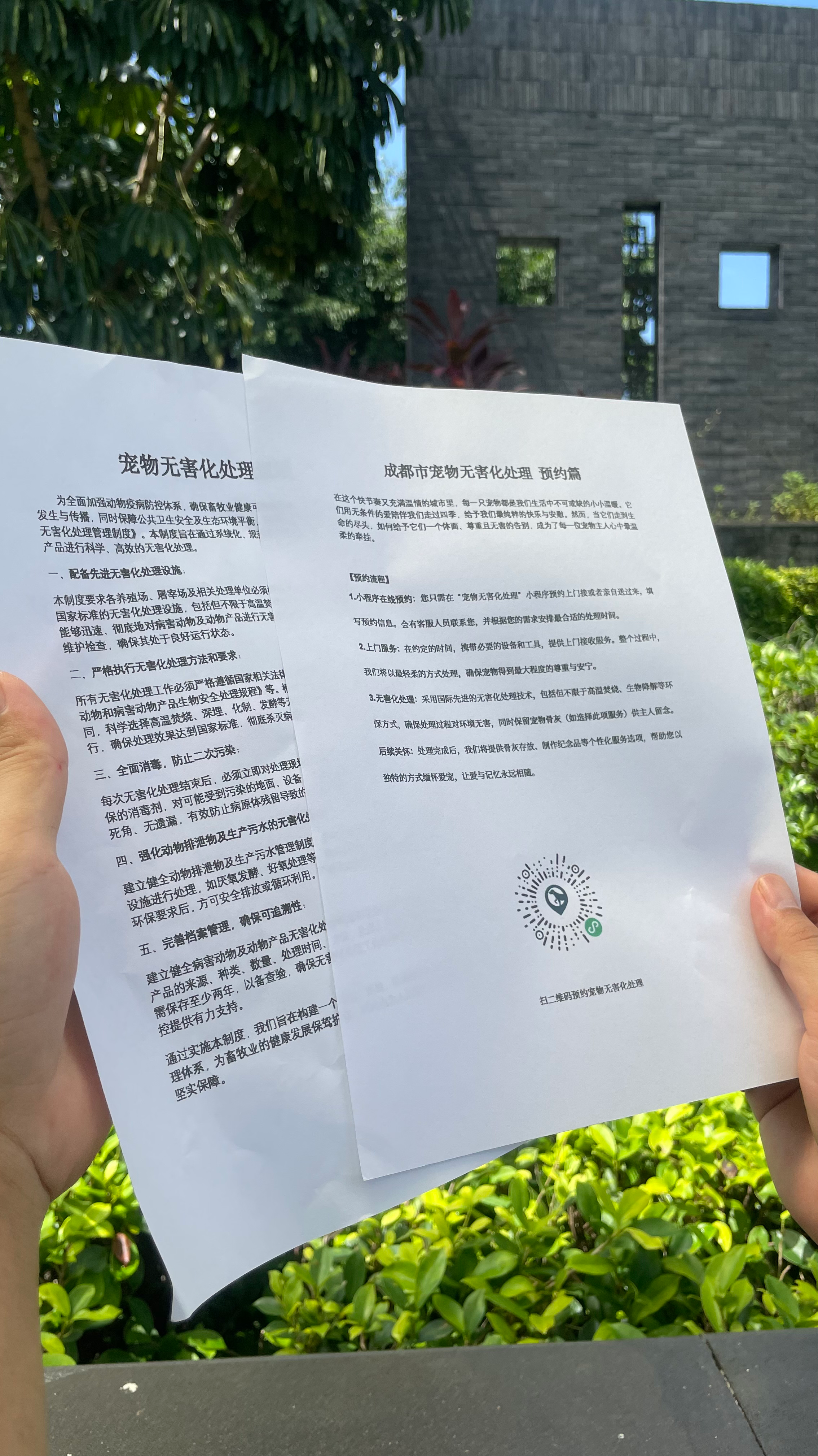 贵池宠物无害化处理