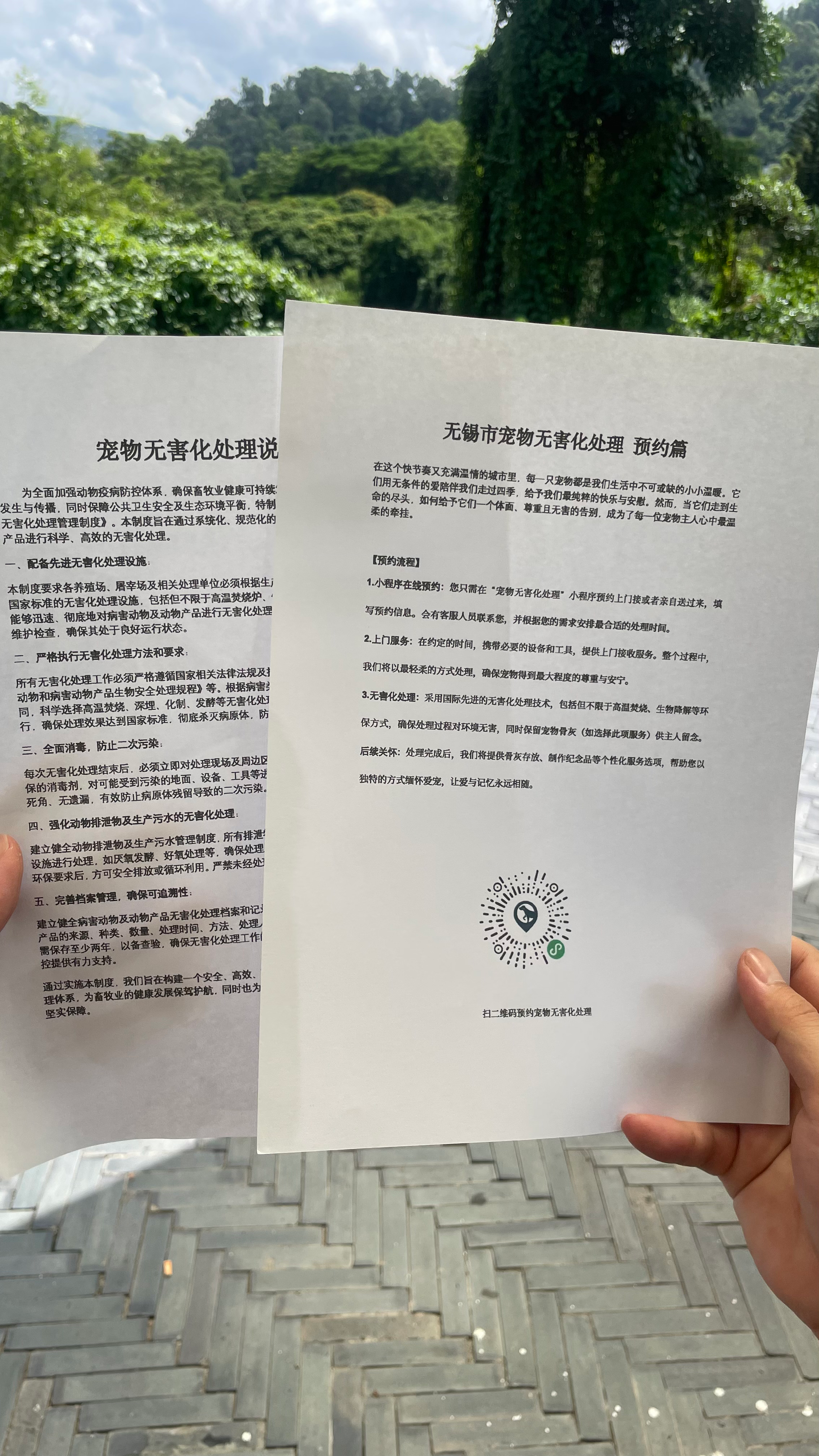 贵池宠物无害化