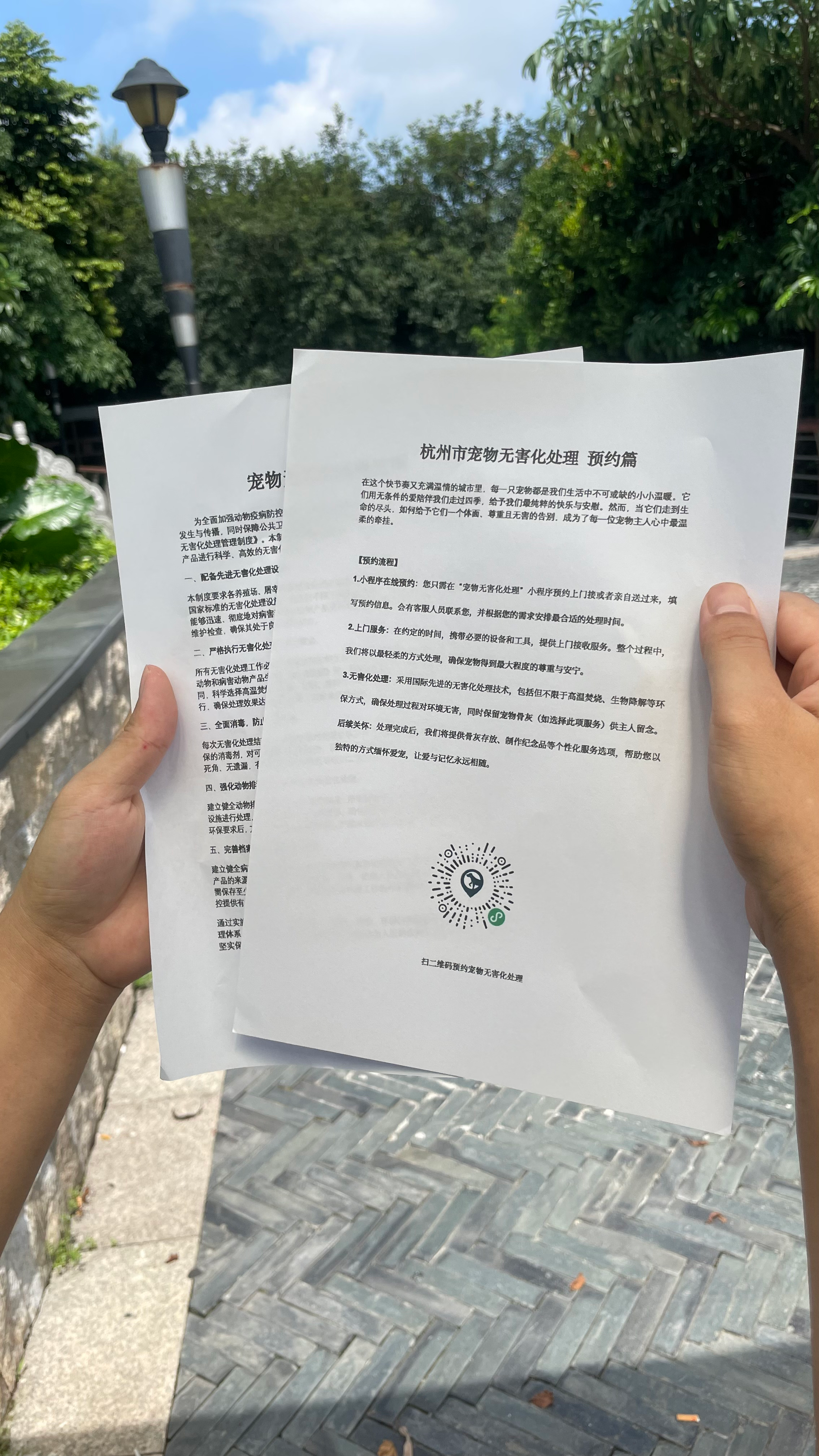 贵池宠物告别